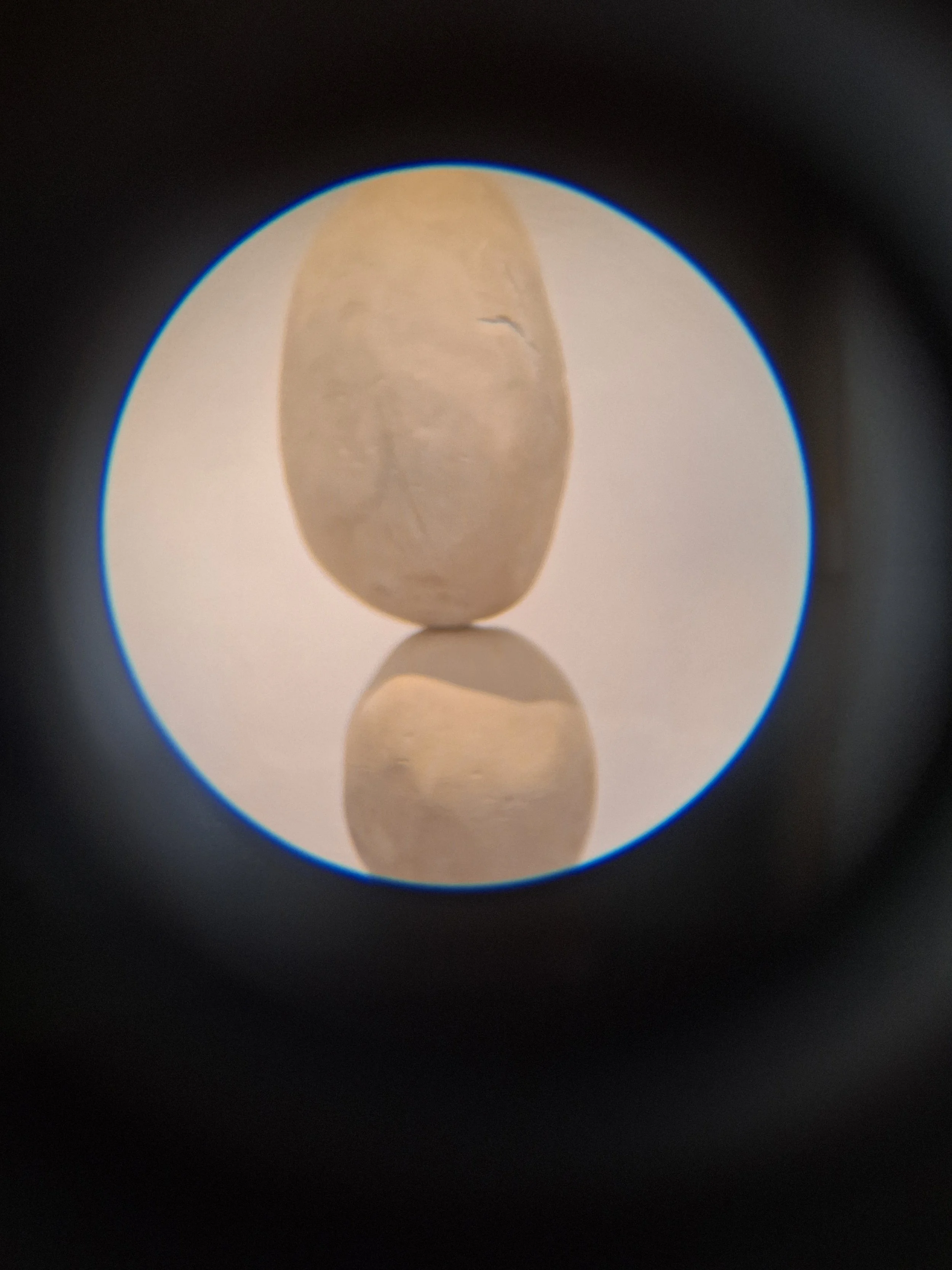 20240130_105027.jpg