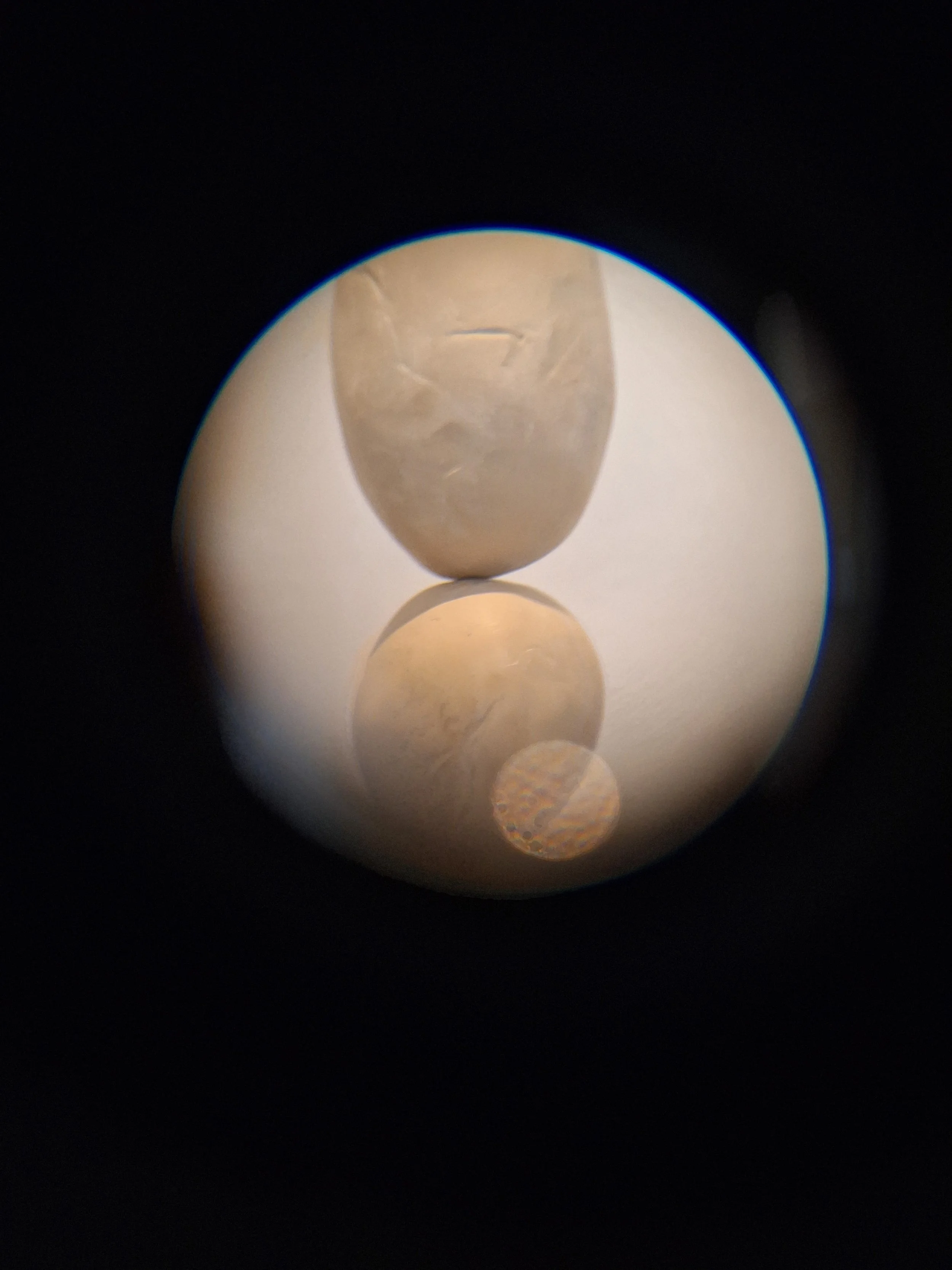 20240130_111507.jpg