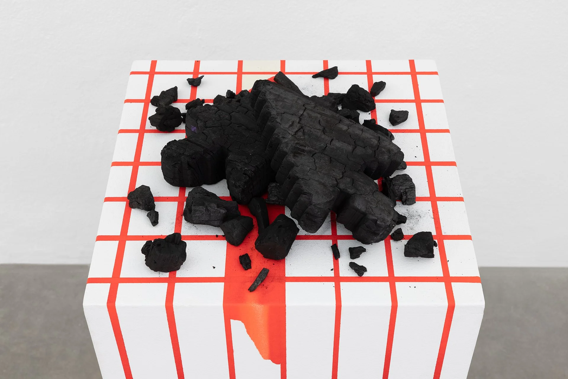 Tiago Hesp_Between Two Waters-12_©BrunoLopes   mini.jpg