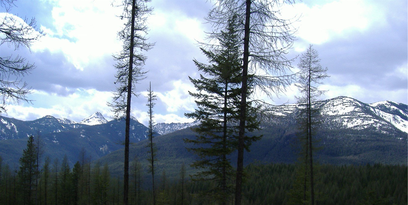 Picture5.jpg
