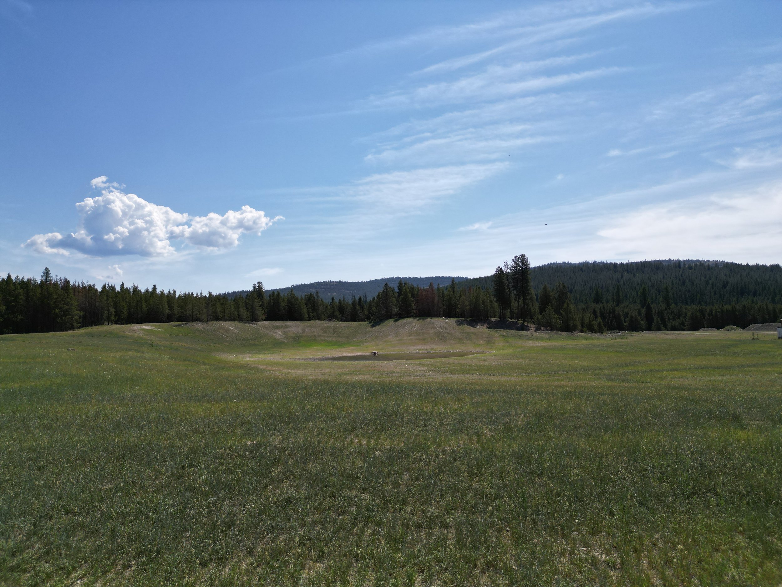 DJI_0766.JPG
