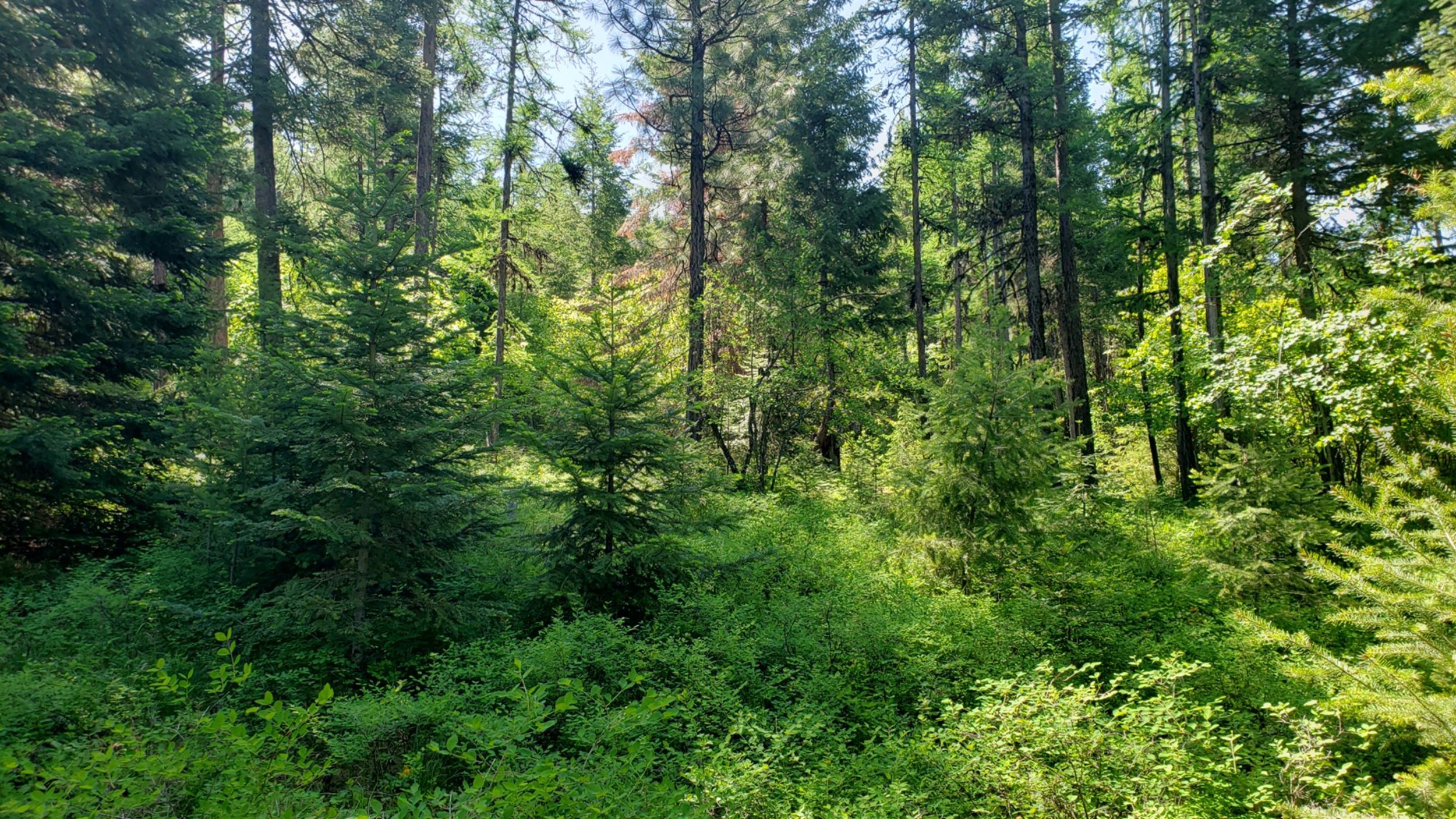 Picture2.jpg