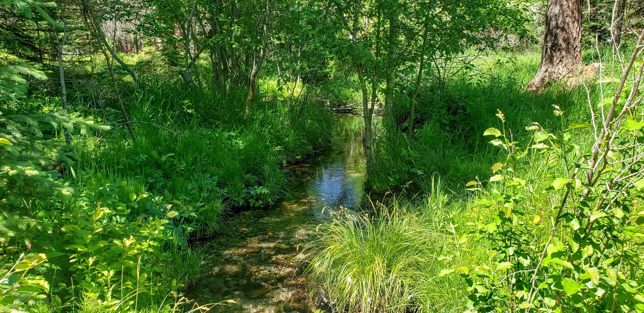 20190611_152332.jpg