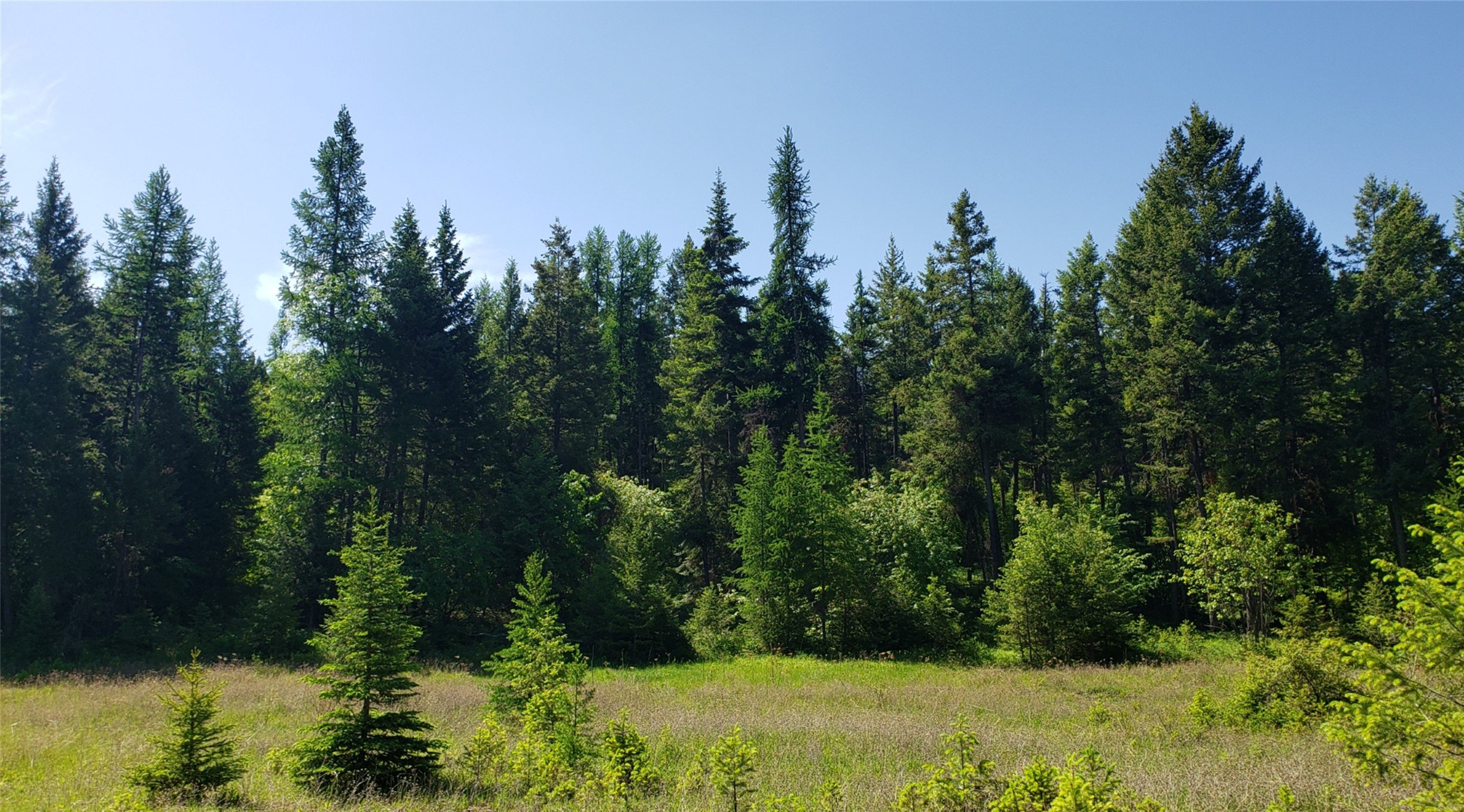 Picture1.jpg