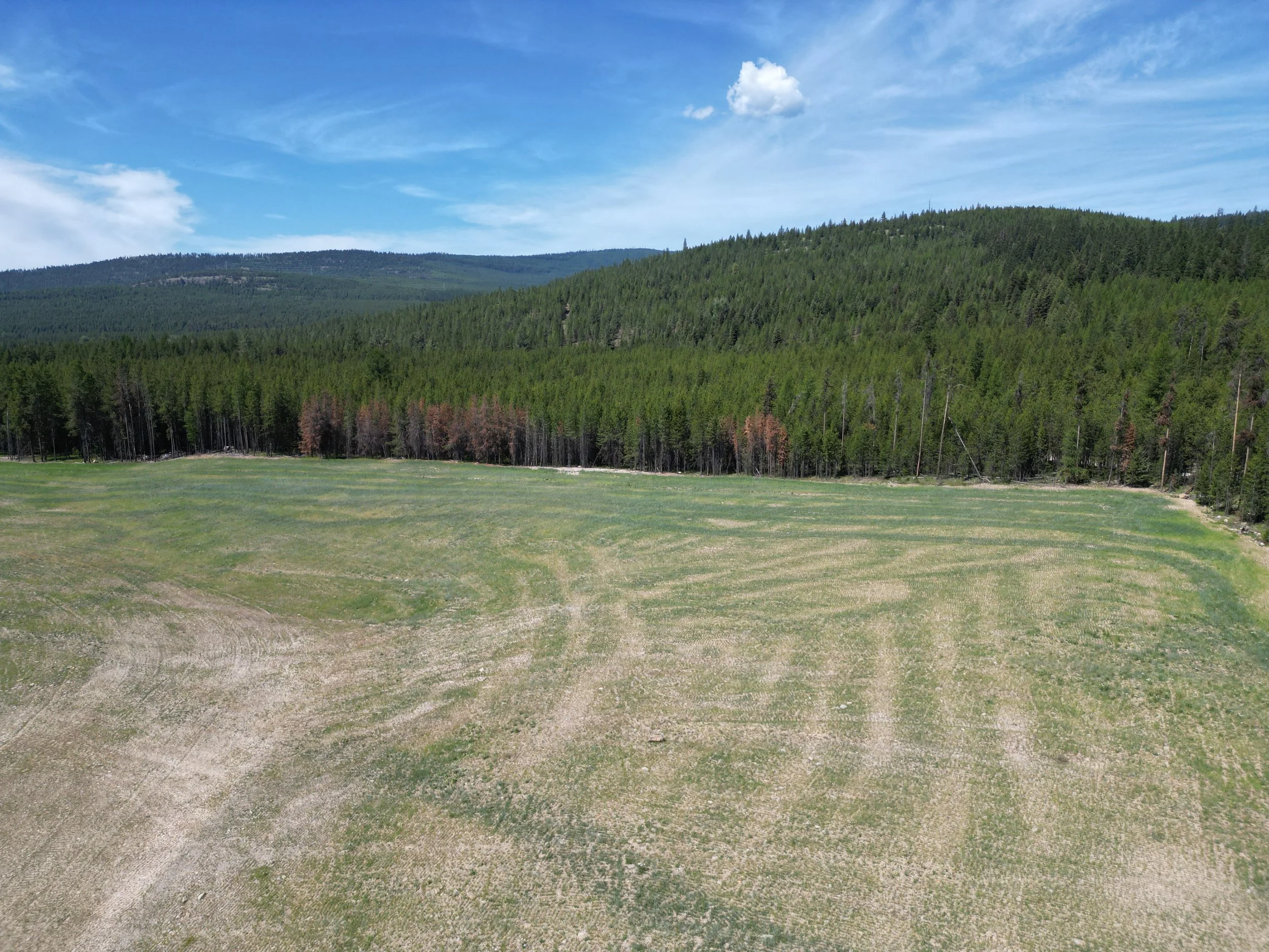 DJI_0833.JPG