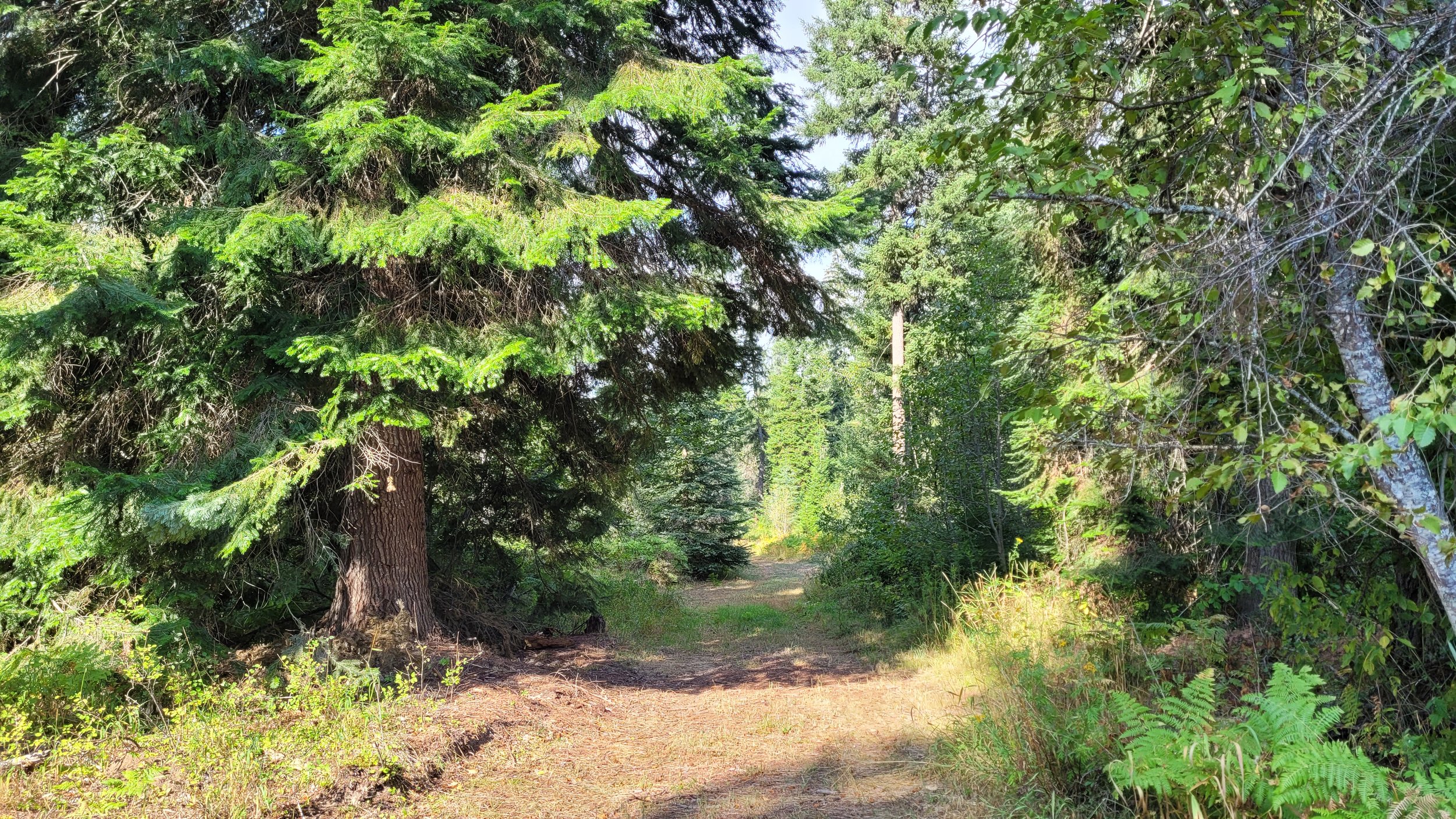 20230825_102001.jpg