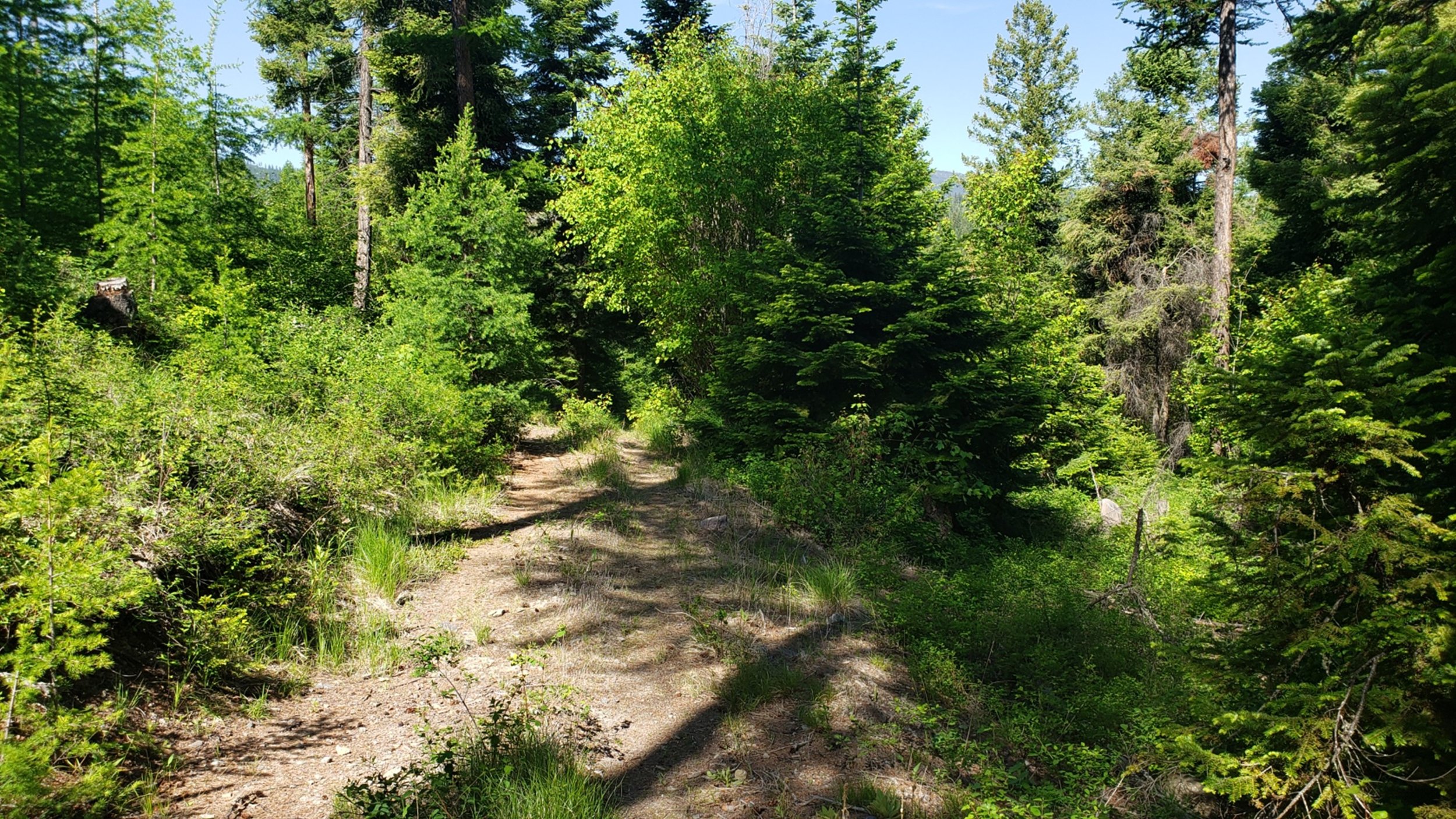 Picture9.jpg