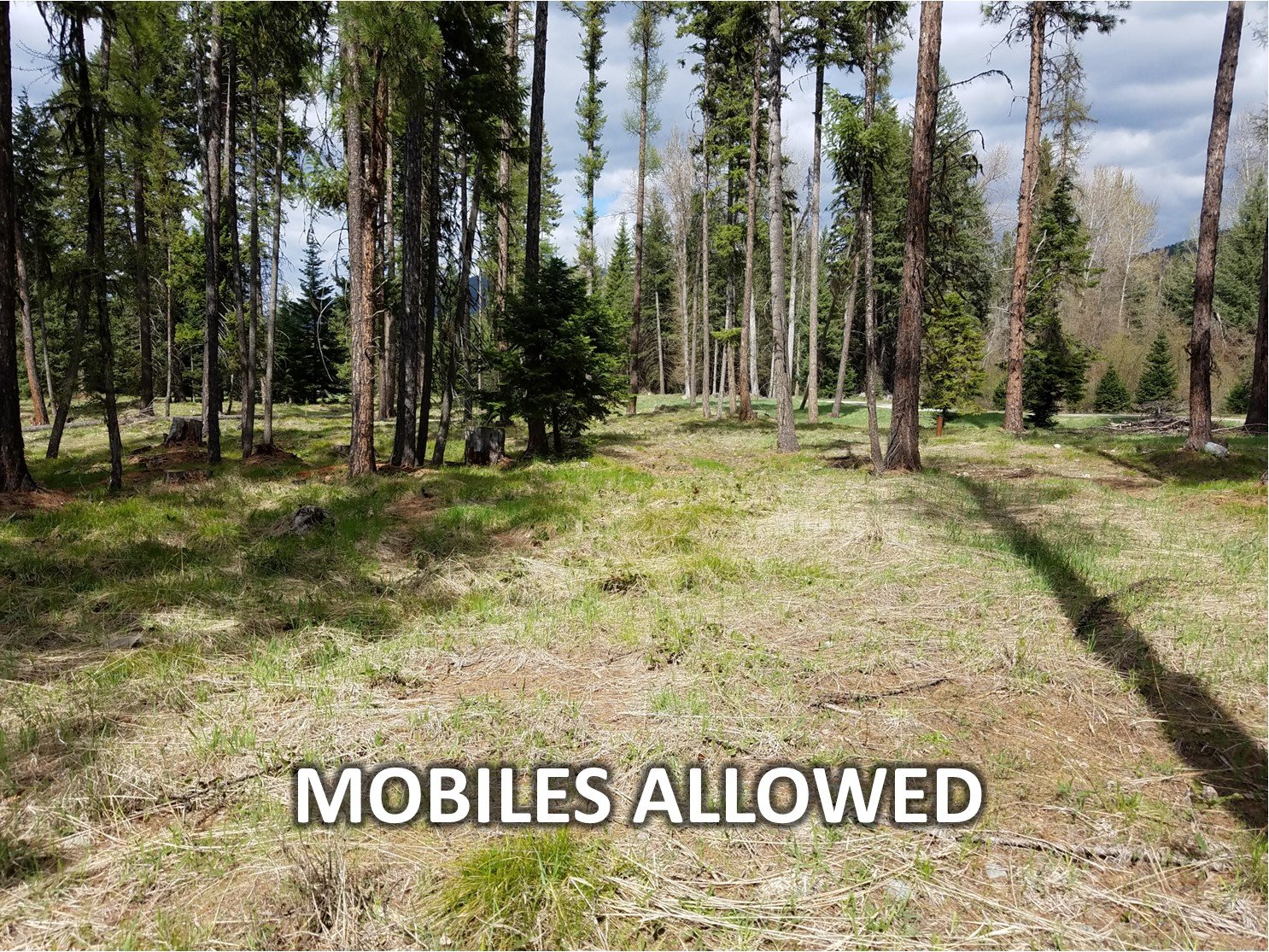 Mobiles Labeled.jpg