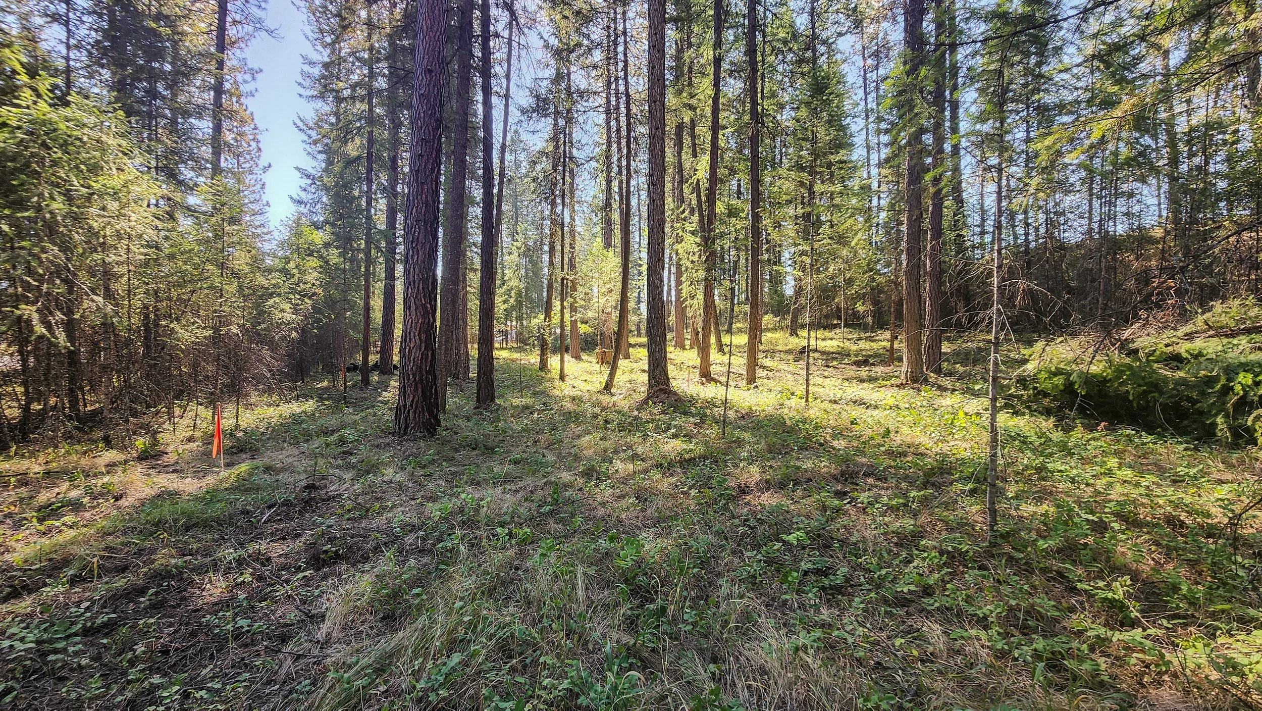 20240905_105939.jpg