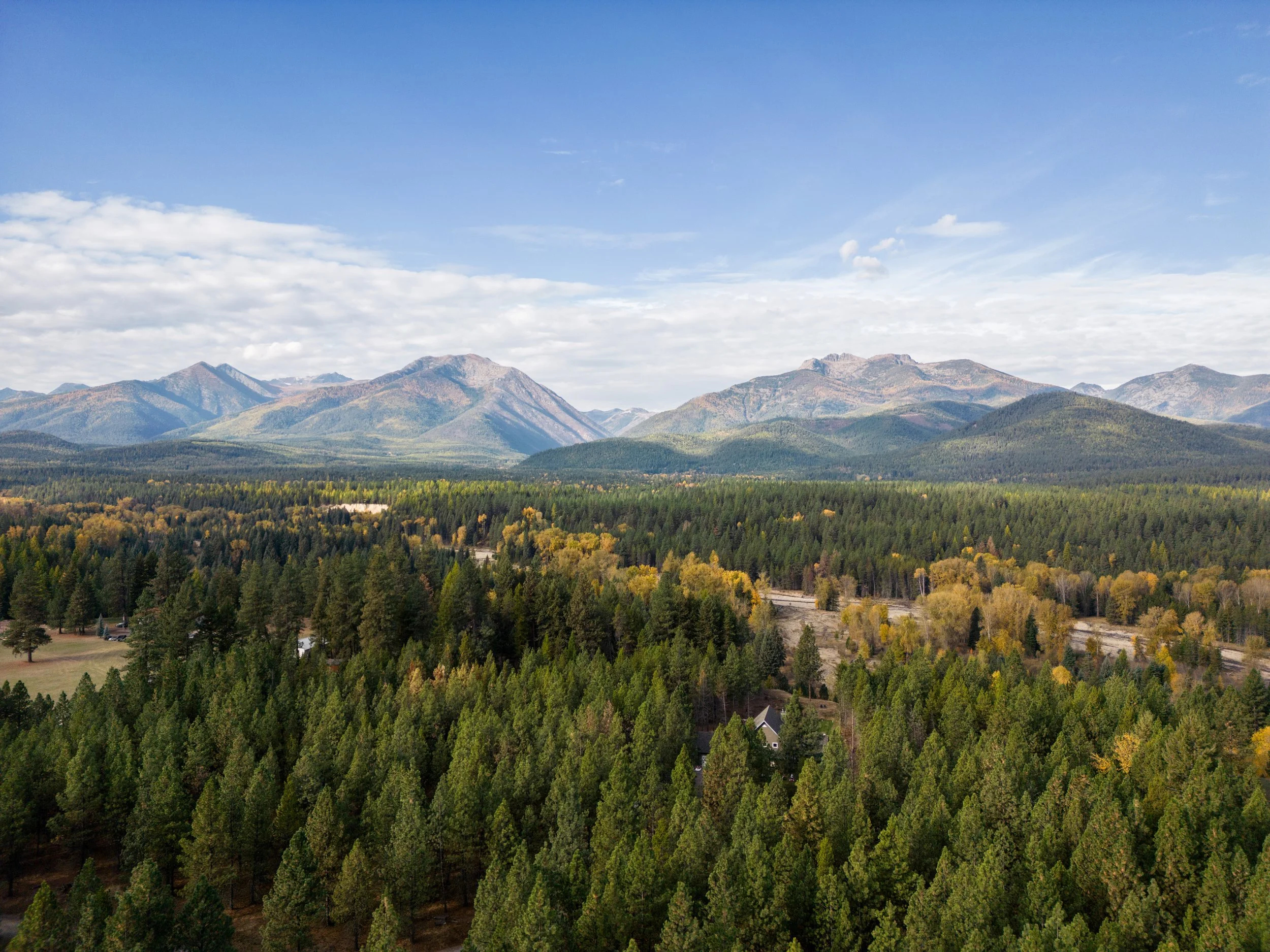 Bird's eye view.jpg