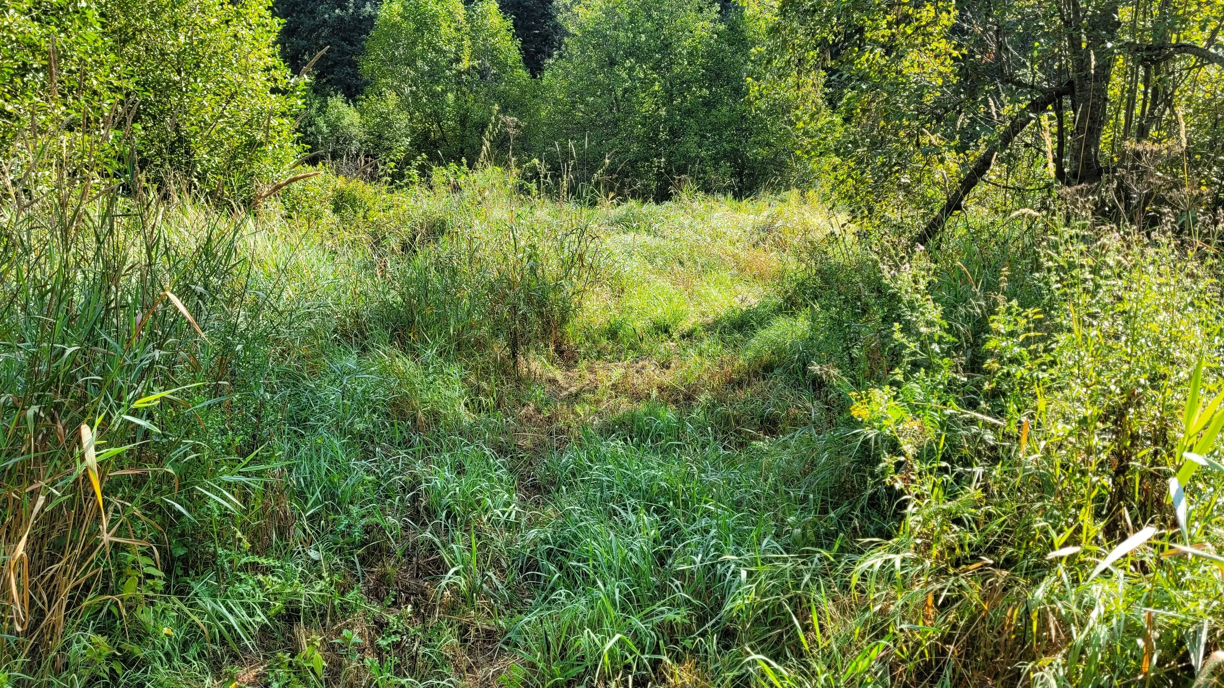 20230825_102017.jpg