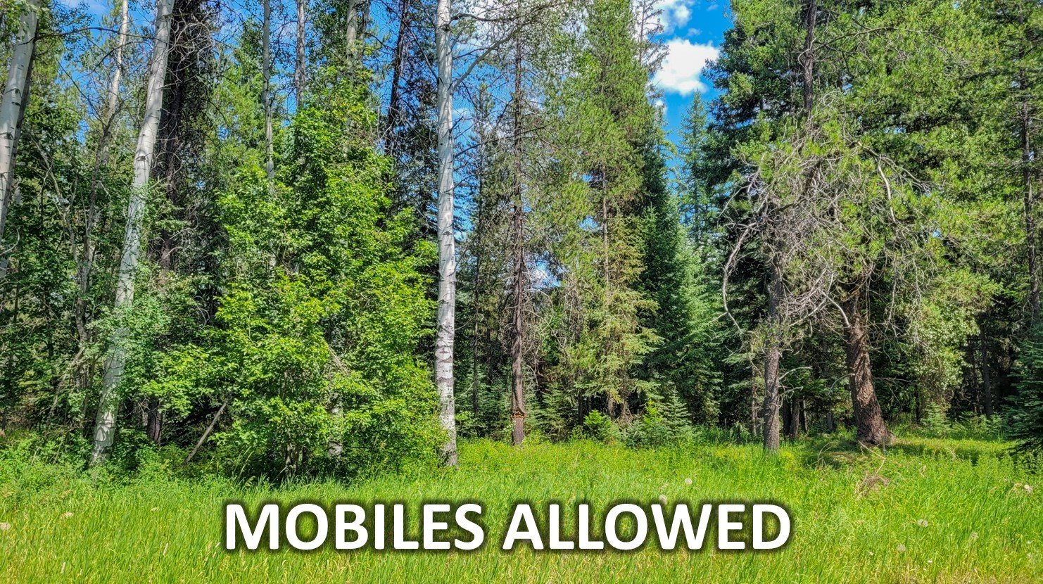 Mobiles Labeled.jpg