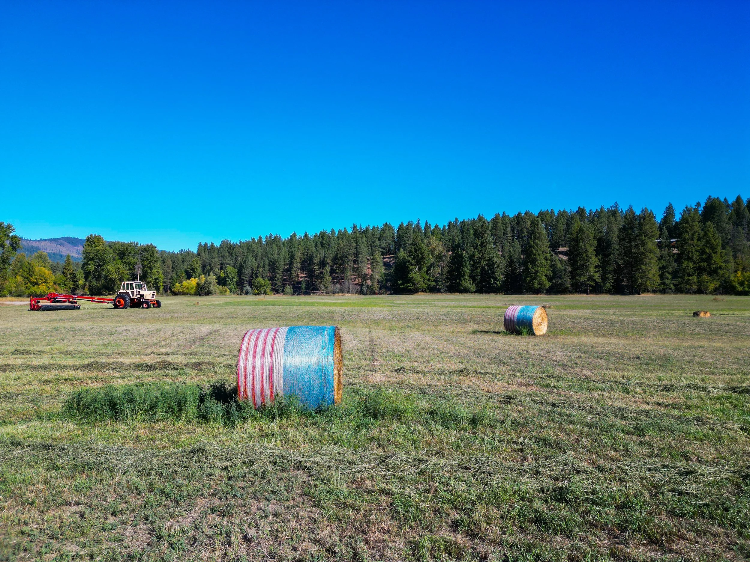 DJI_0678.jpg