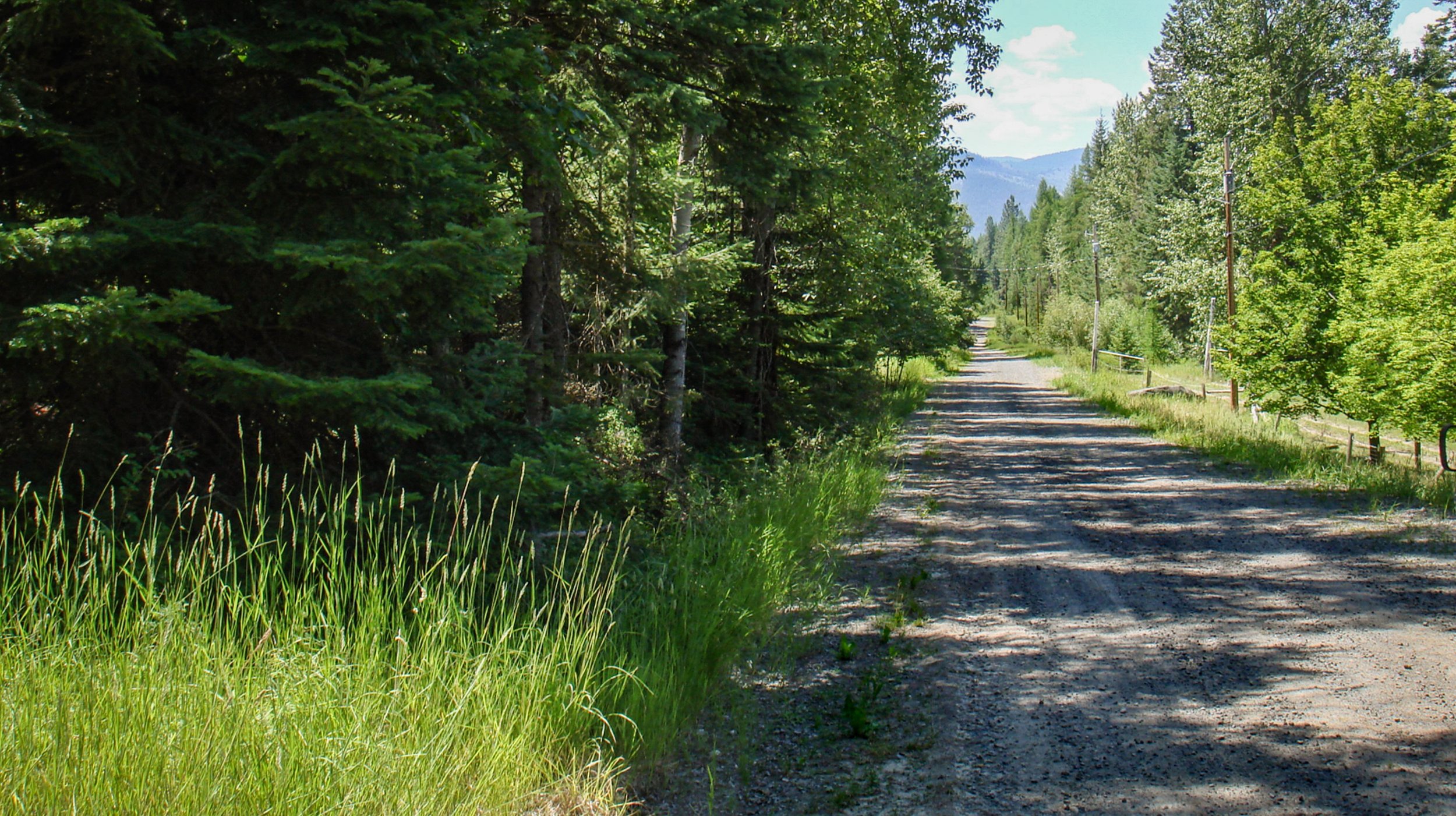 Picture4.jpg