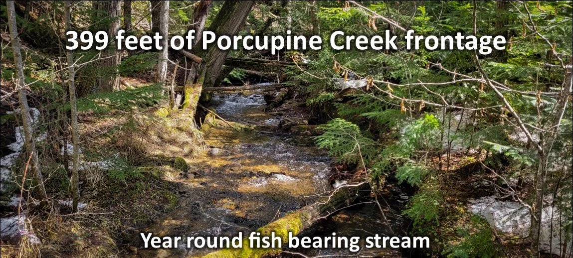 fish bearing stream.jpg