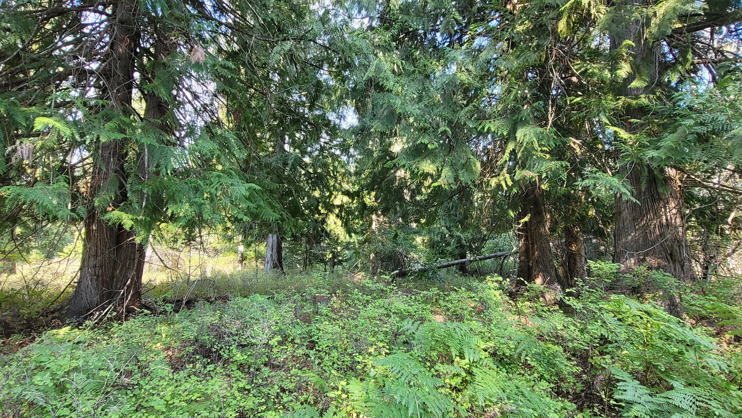 20230825_101442.jpg