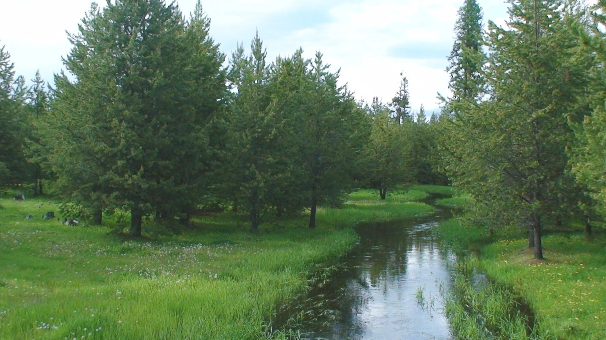 Picture1.jpg