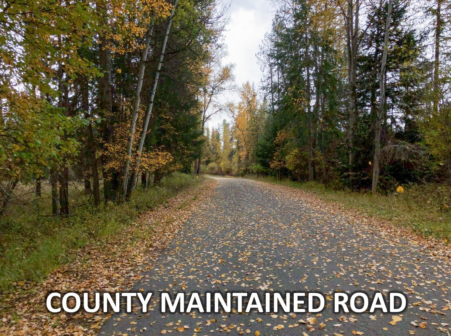 Road Labeled.jpg