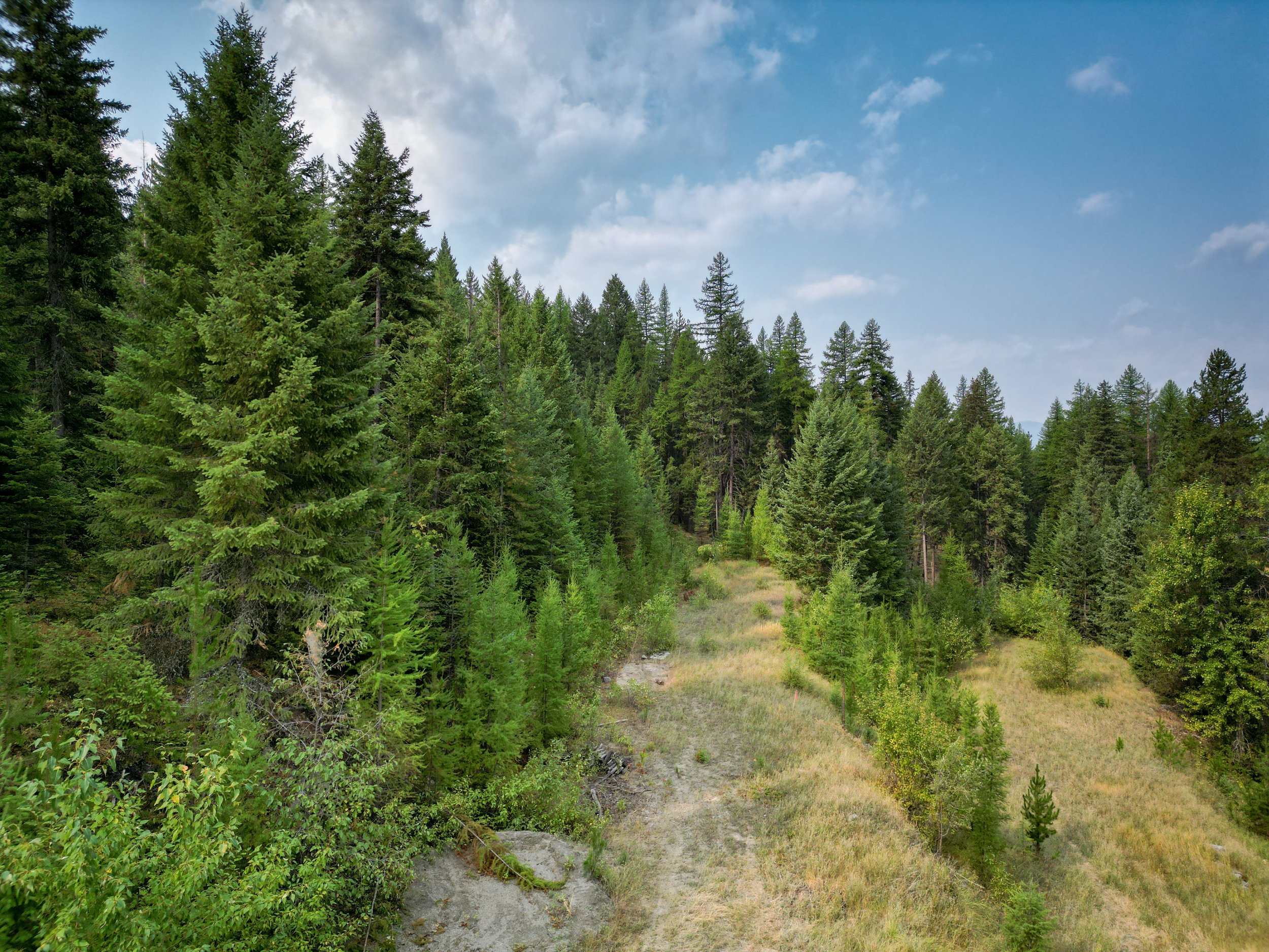 DJI_0066.jpg