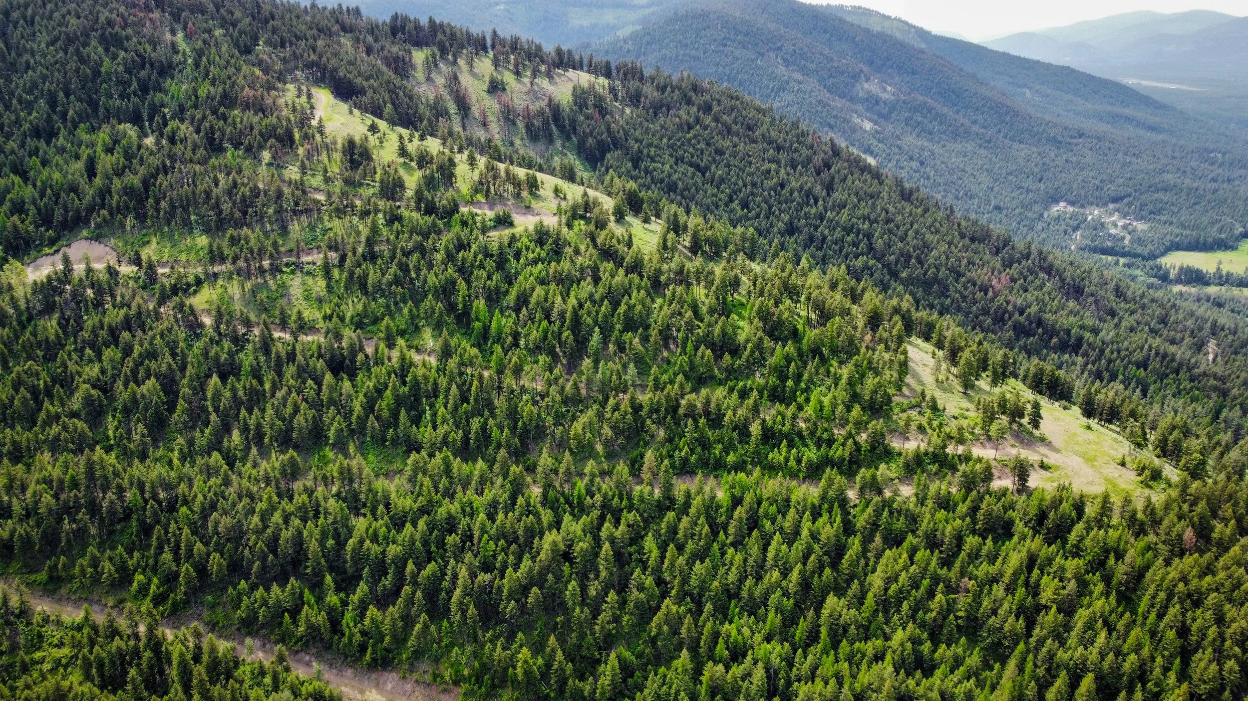 dji_fly_20230531_112520_977_1685554304755_photo_optimized.jpg