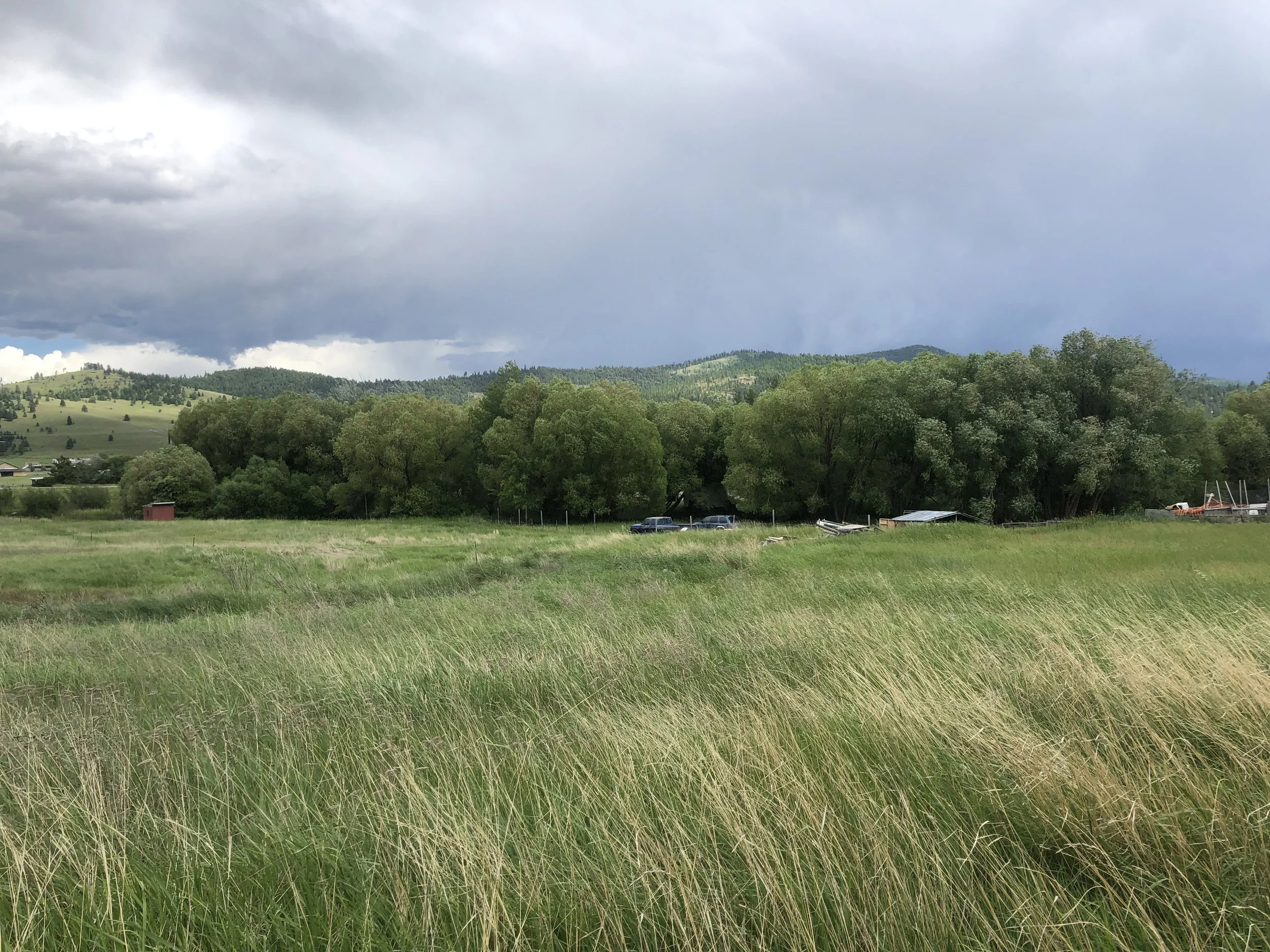 1071 Cobbler Way - Kalispell, MT