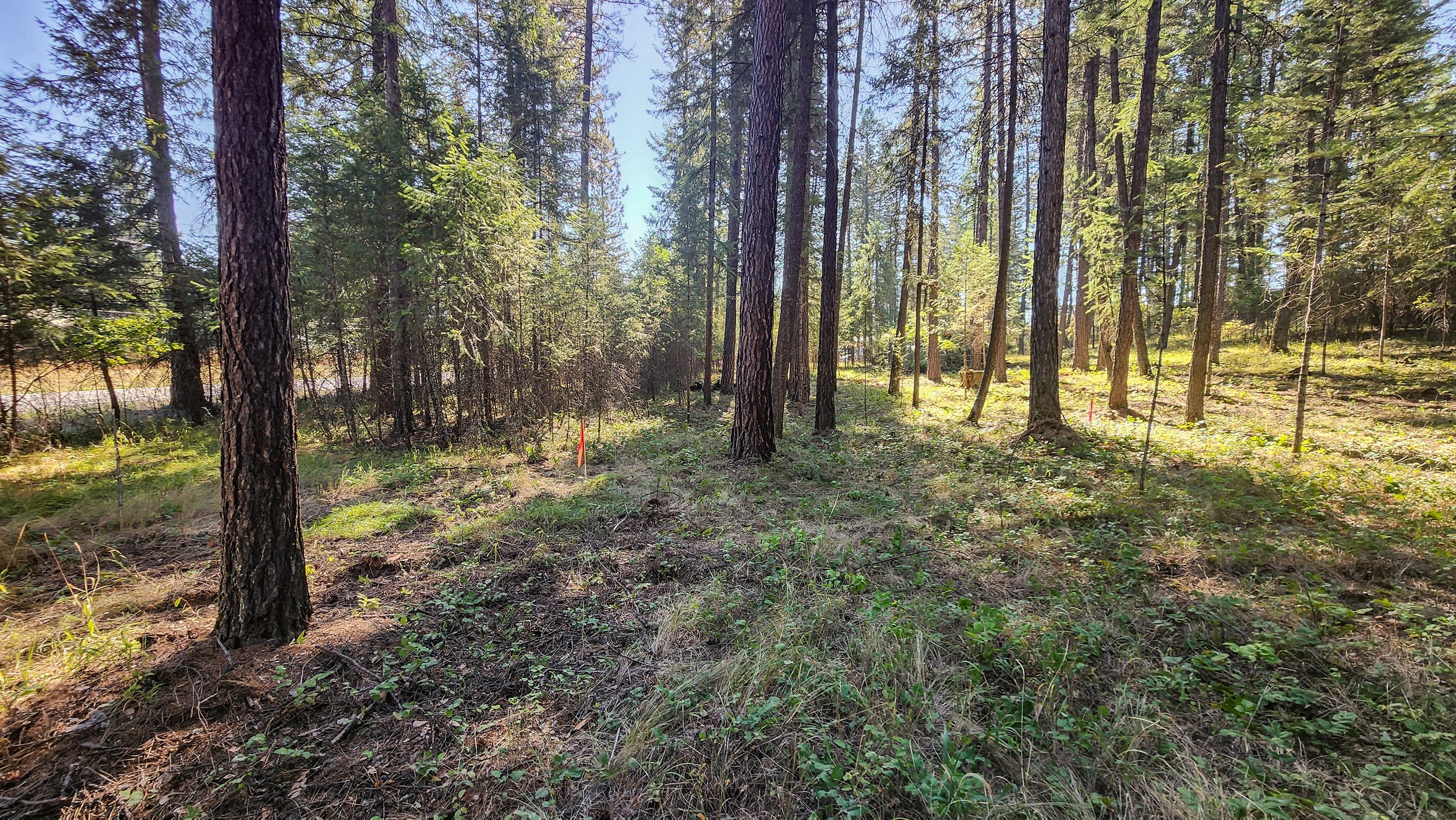 20240905_105943.jpg