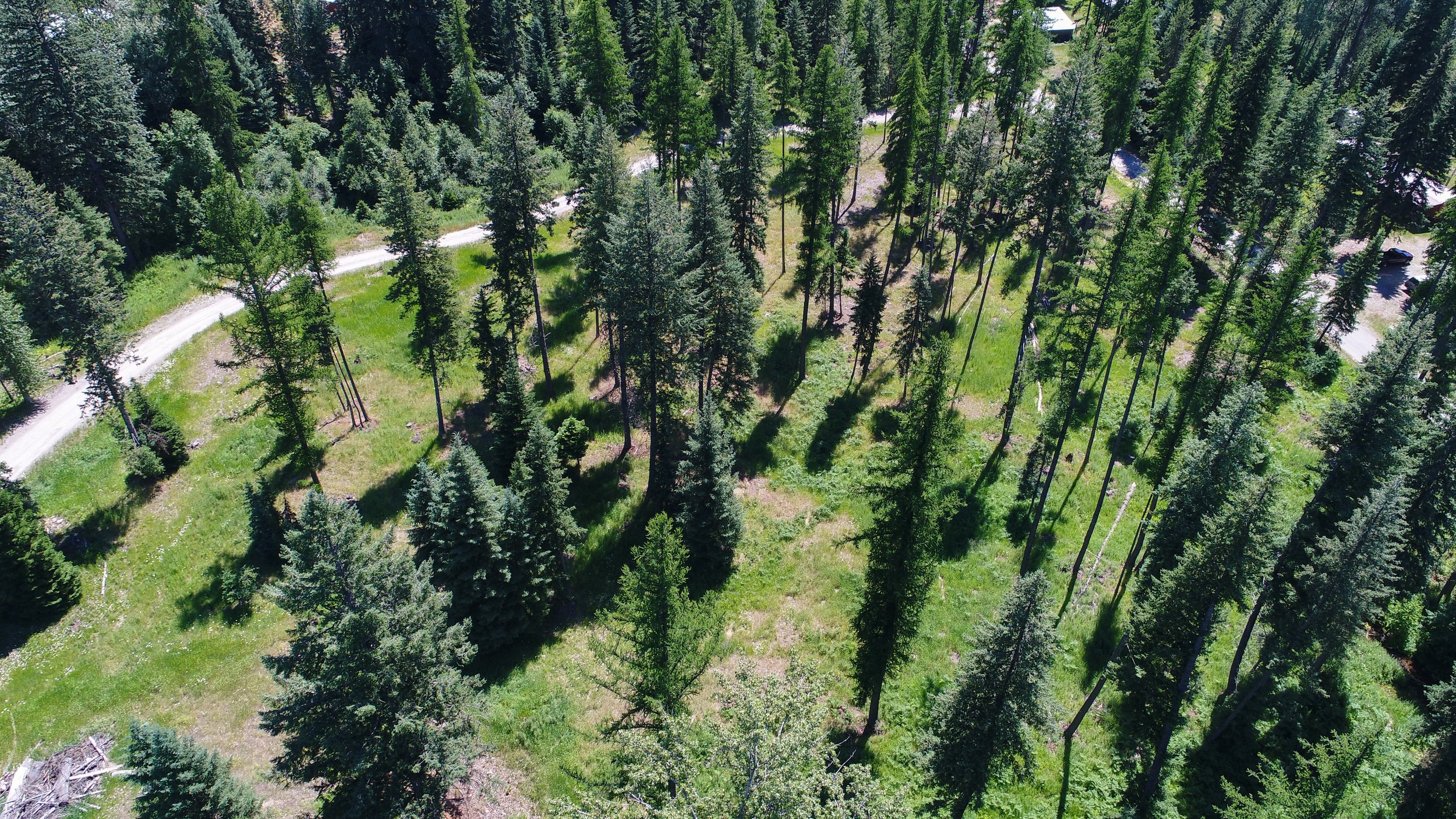 DJI_0039.jpg