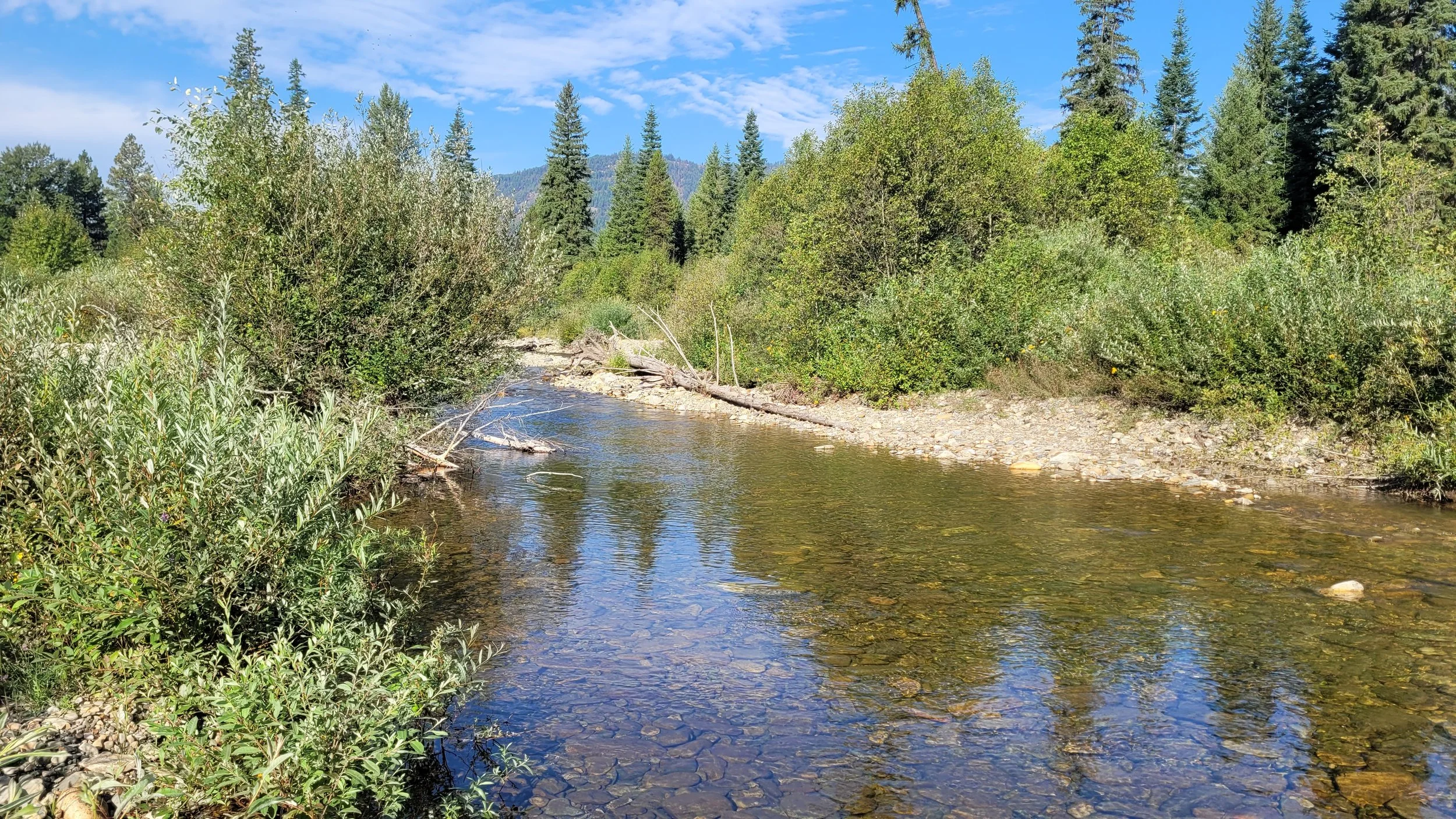 20230825_100052.jpg