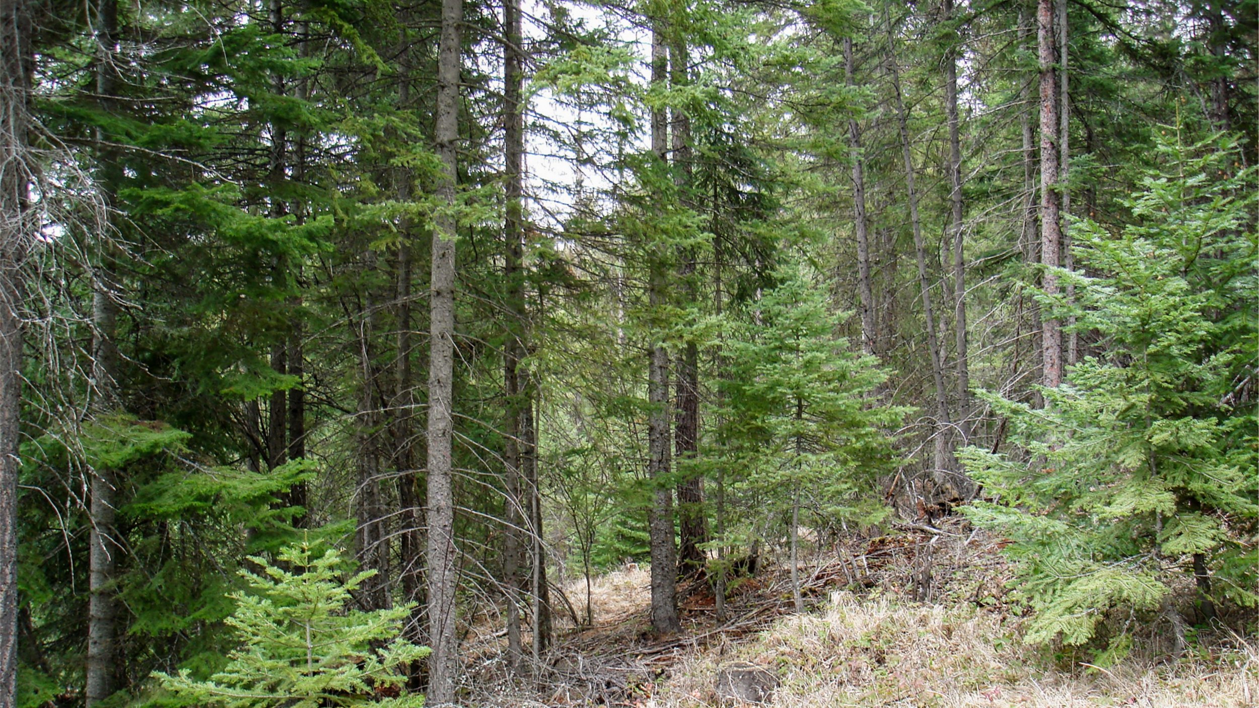 Picture4.jpg