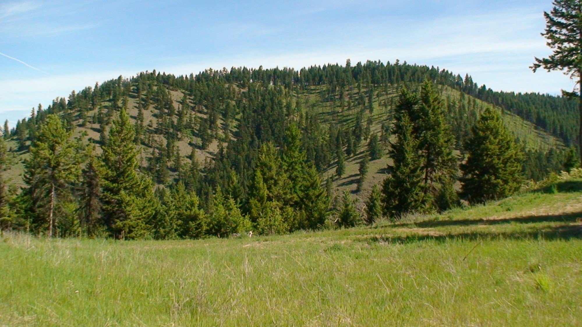 Picture5.jpg