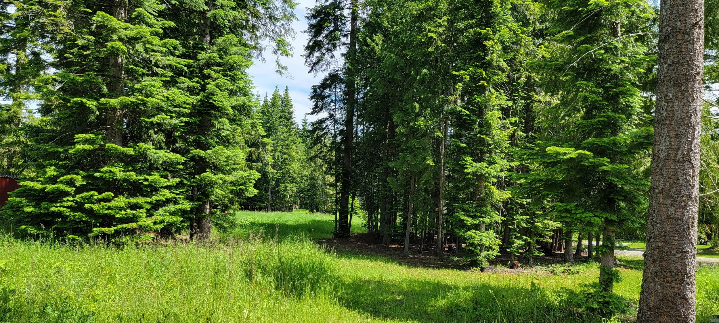 20220616_115842.jpg
