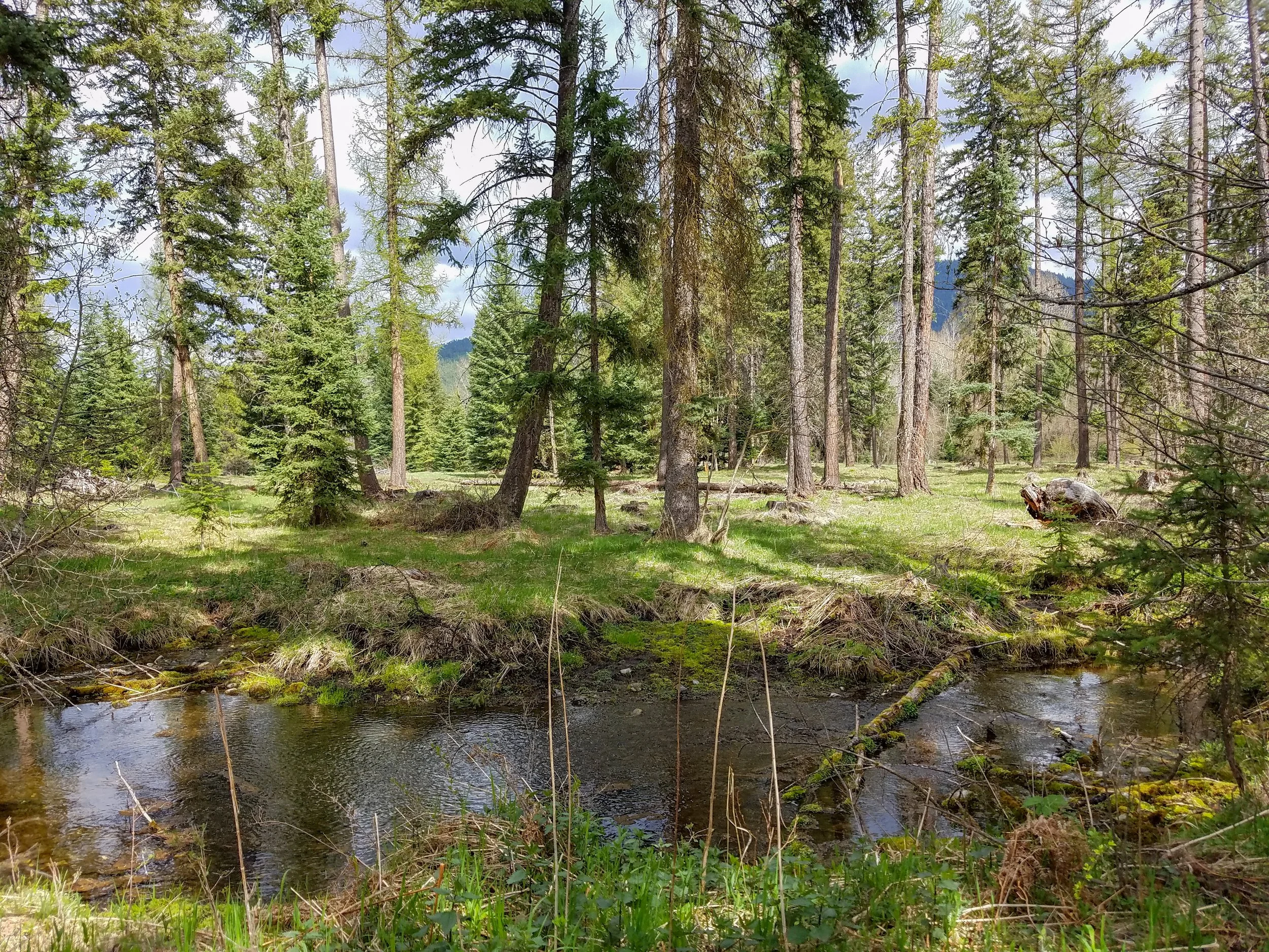 20180502_154735.jpg