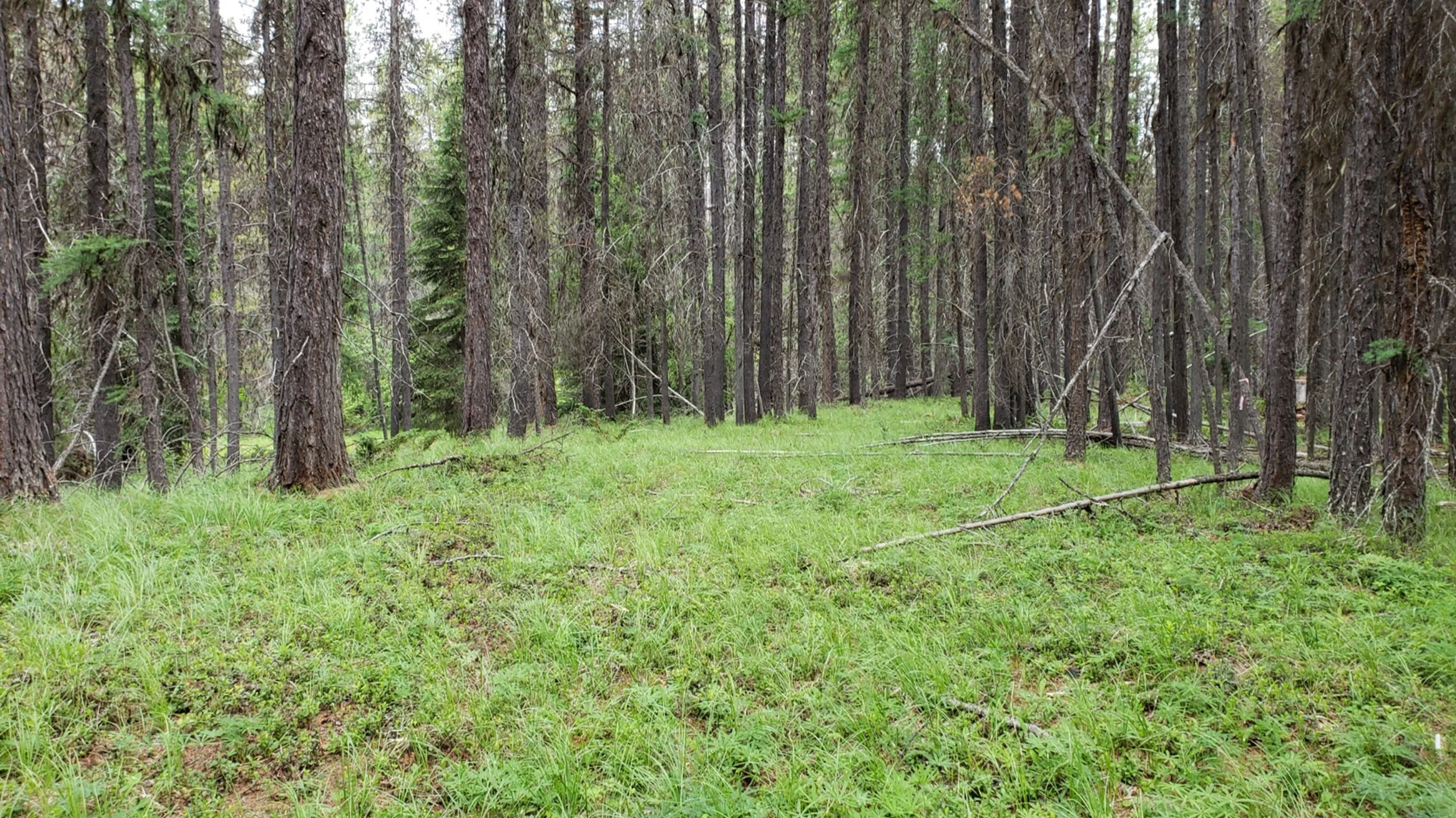 Picture9.jpg