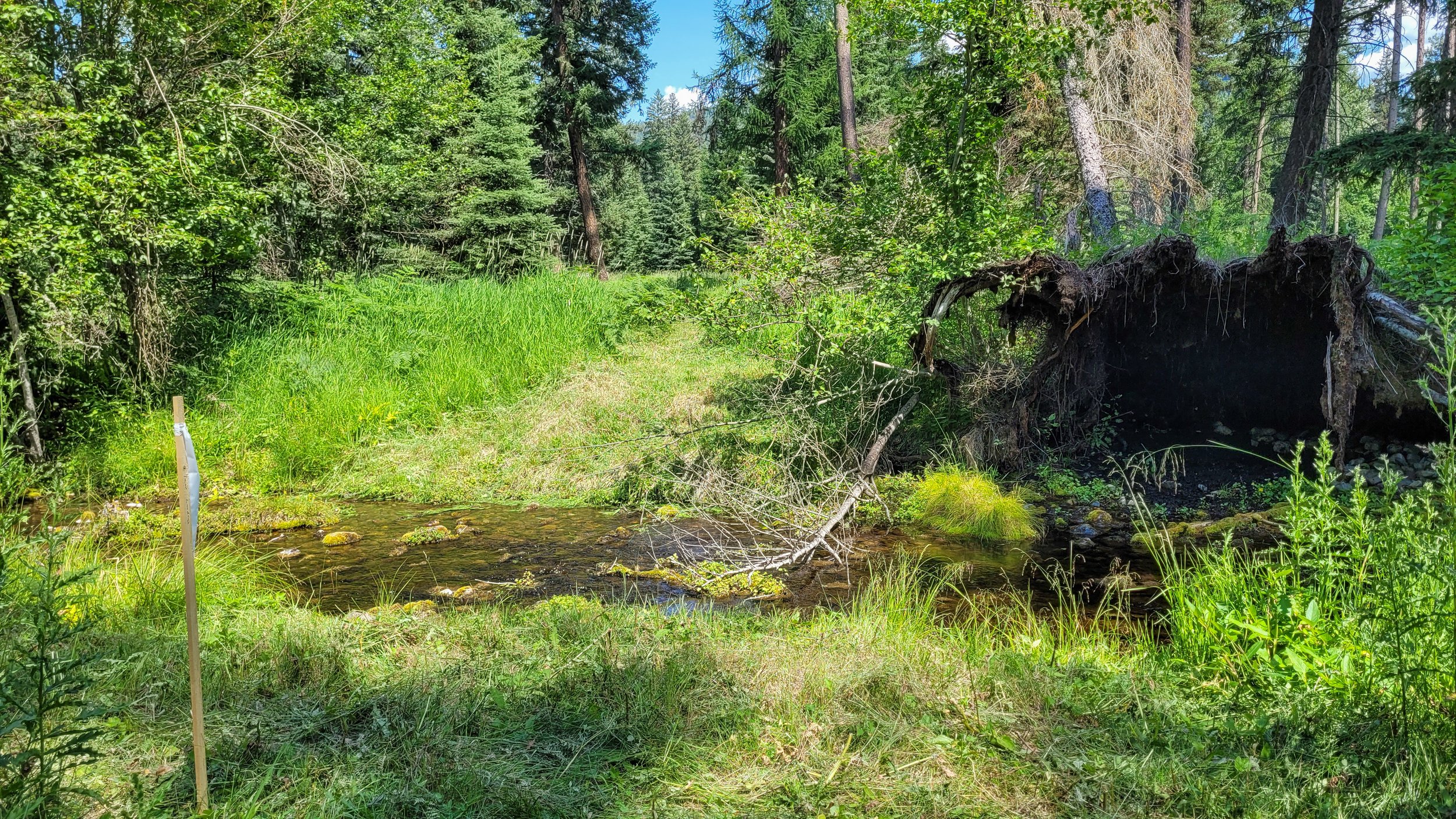 20230706_153131.jpg