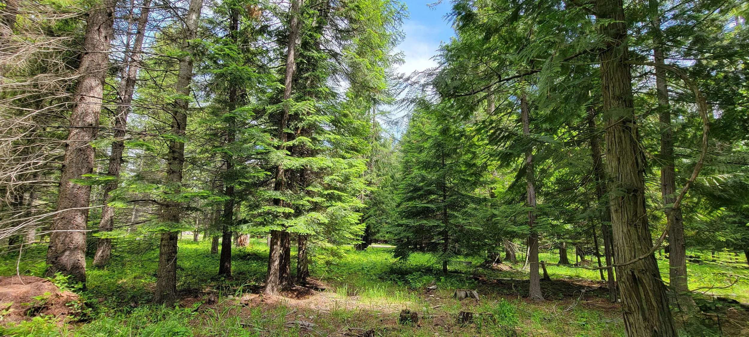 20220616_114604.jpg