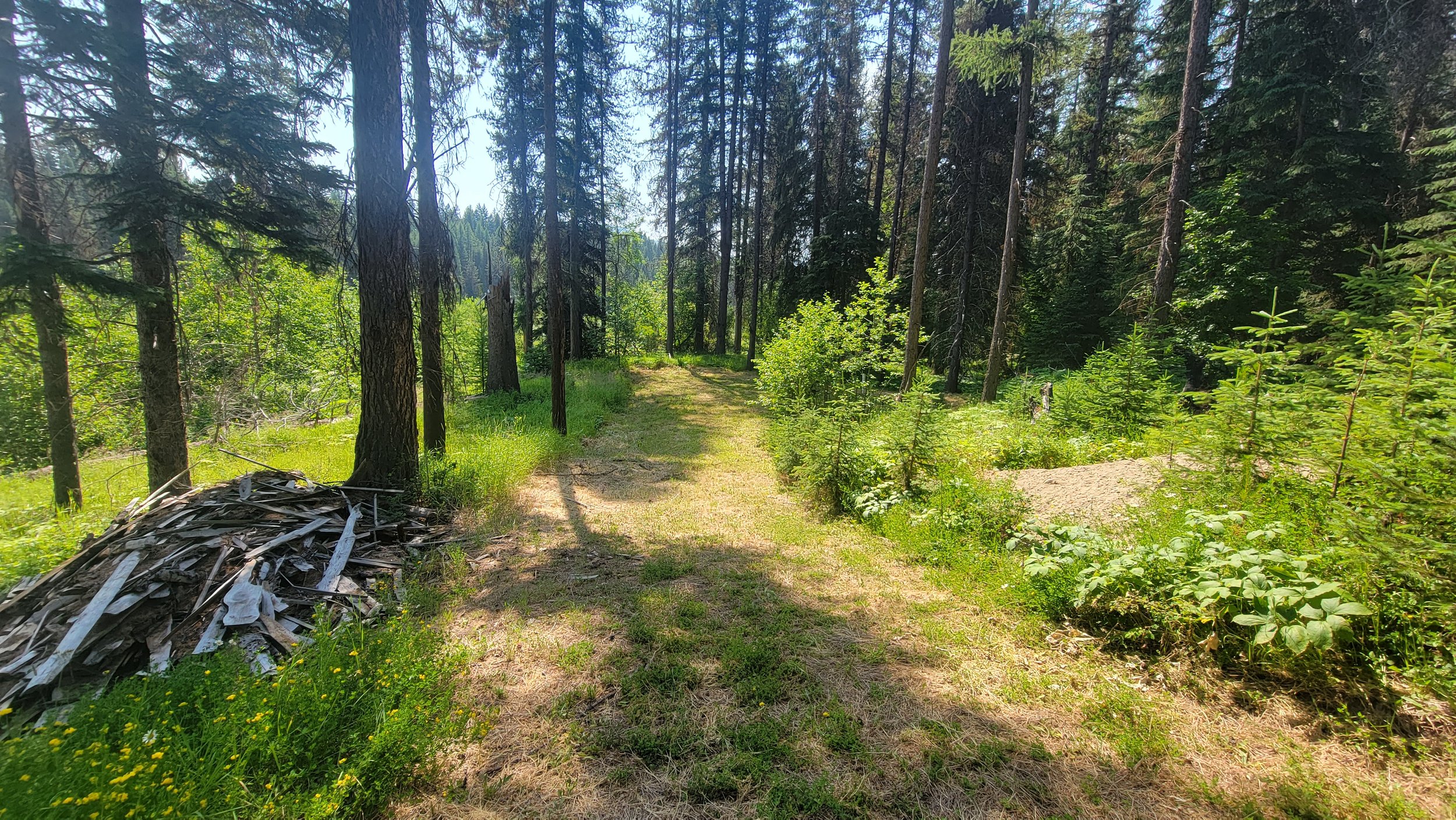 20230707_113400.jpg