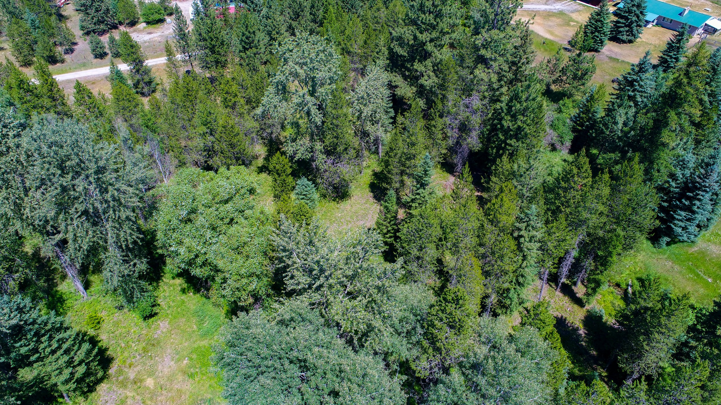 DJI_0007.jpg