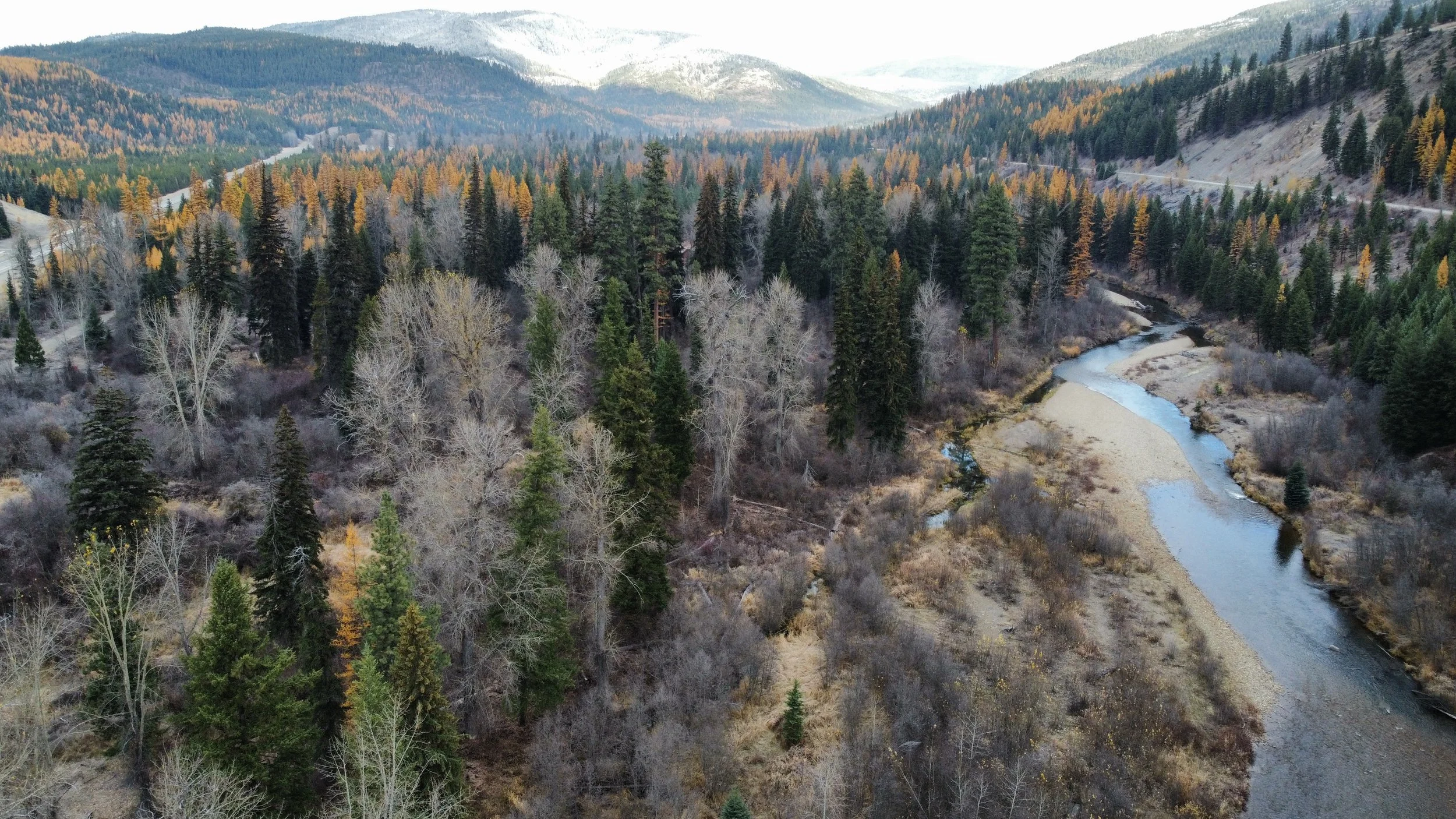 dji_fly_20221103_110720_421_1667496145124_photo_optimized.jpg
