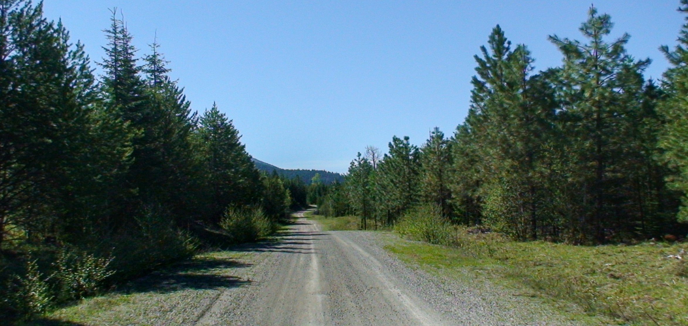Picture4.jpg