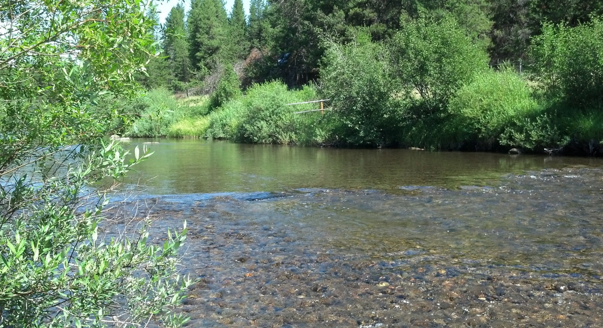 Nhn North Fork - Yaak, MT