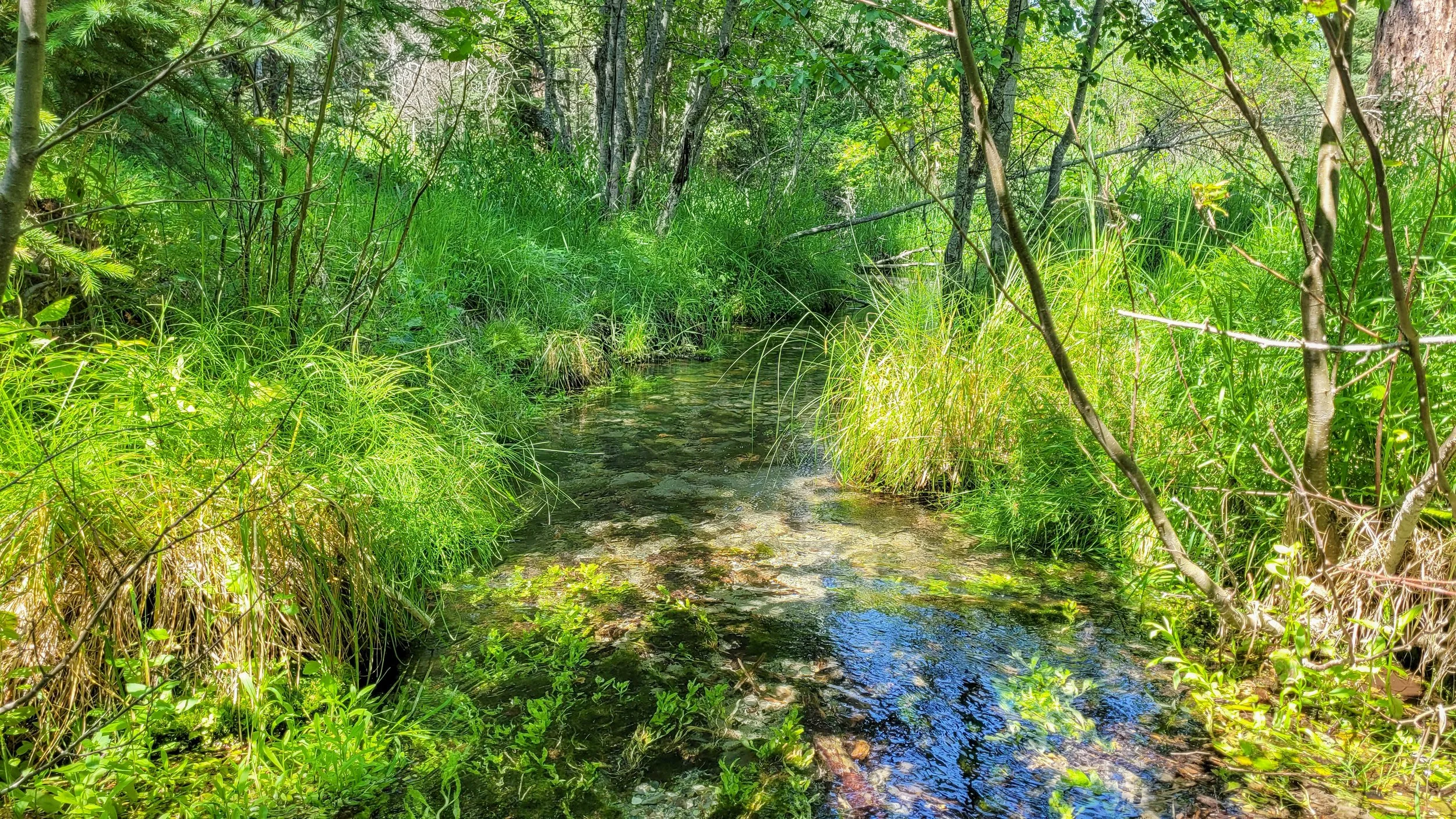 20230706_151421.jpg