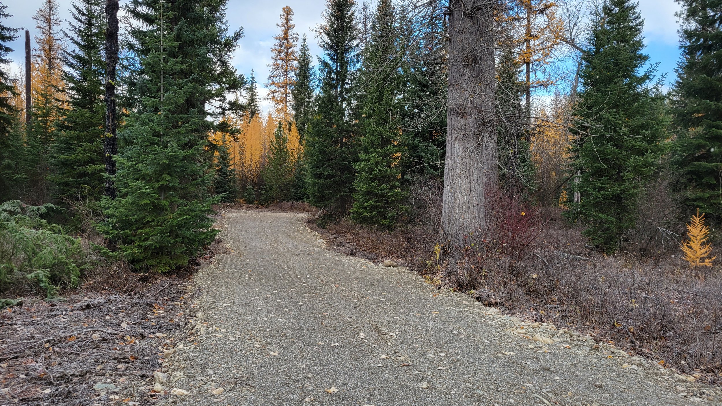 20221103_110245.jpg