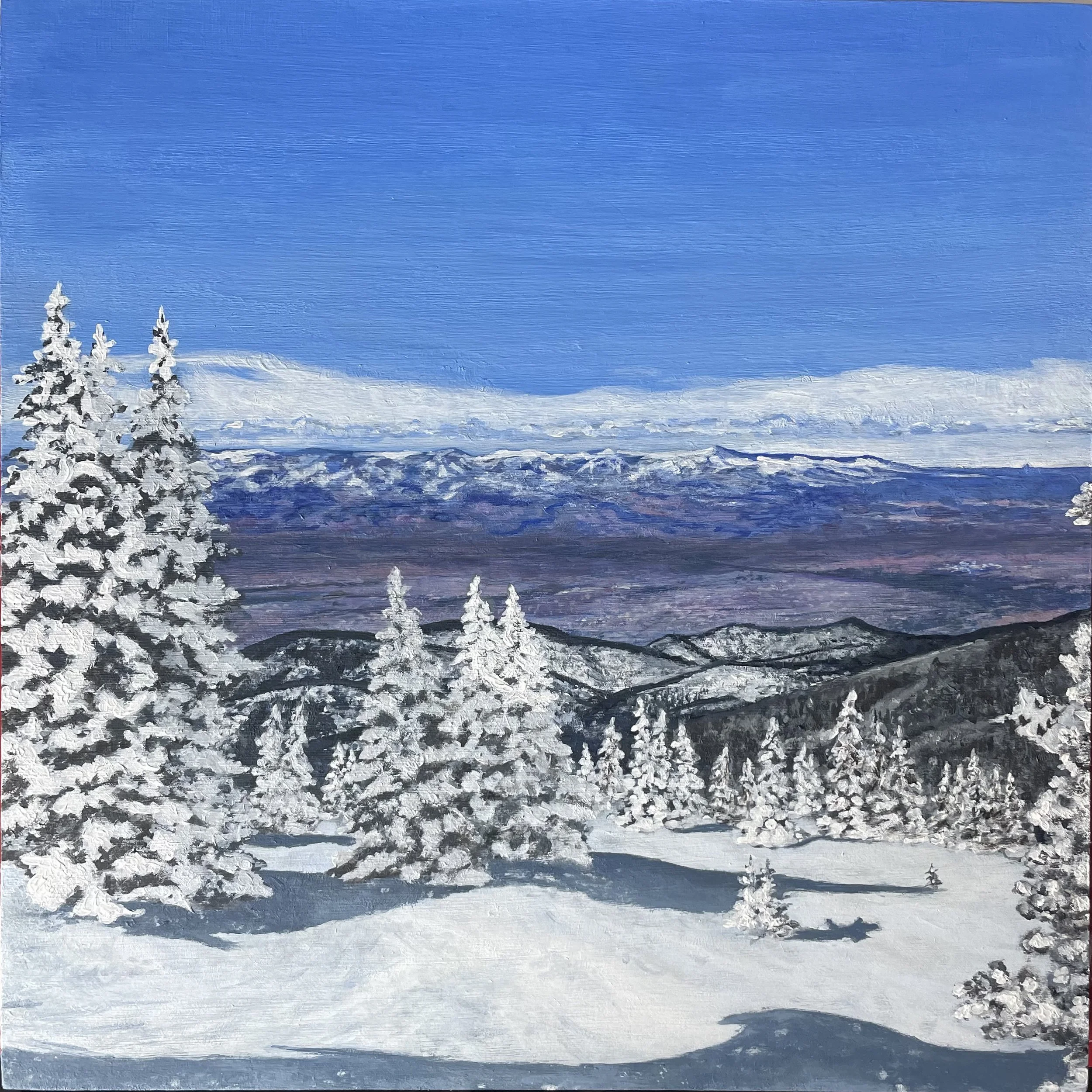 Looking out on Snow Covered NM.JPG