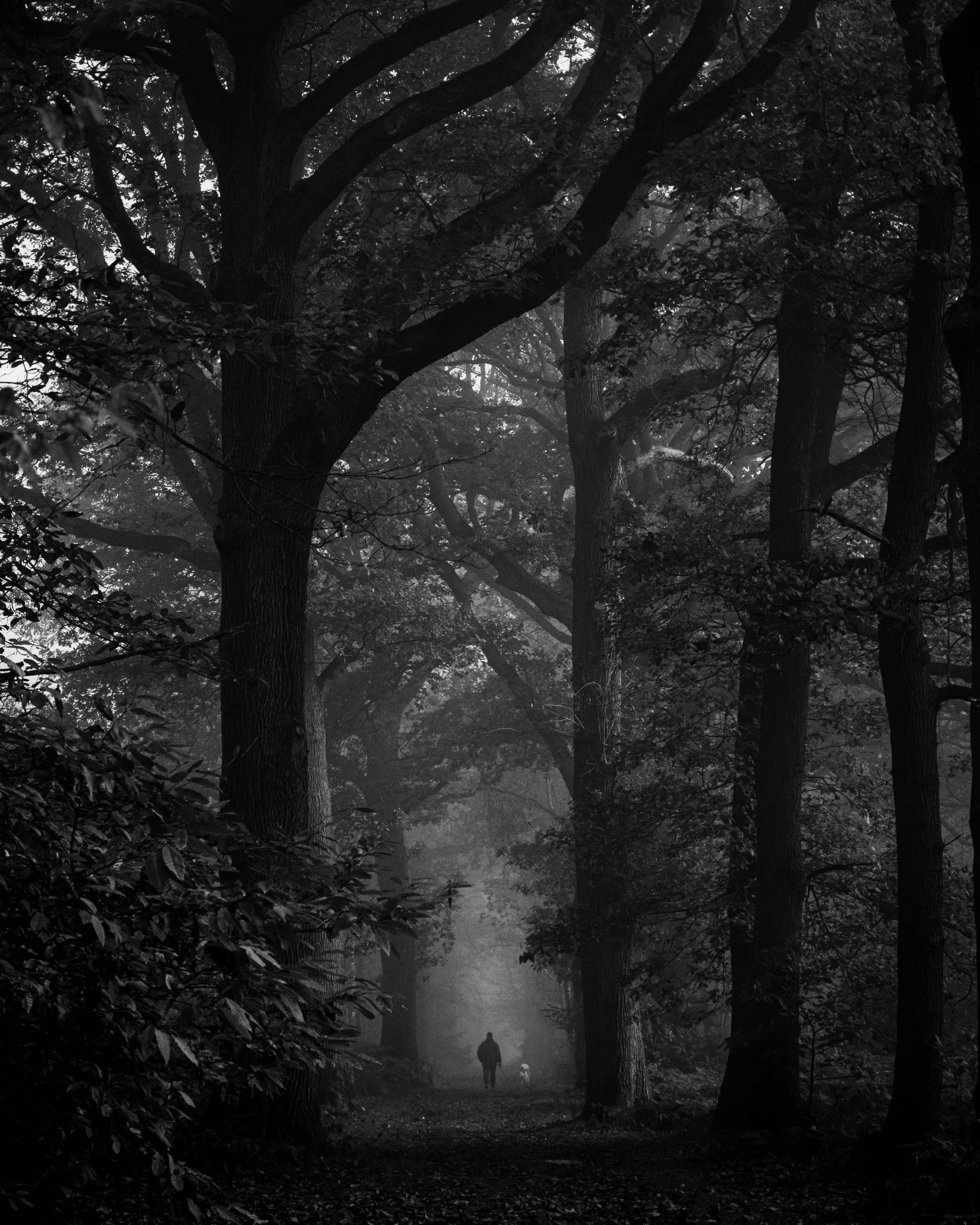 nature-05.jpg