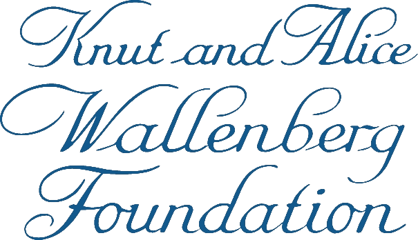 Andreas Selected as Wallenberg Academy Fellow