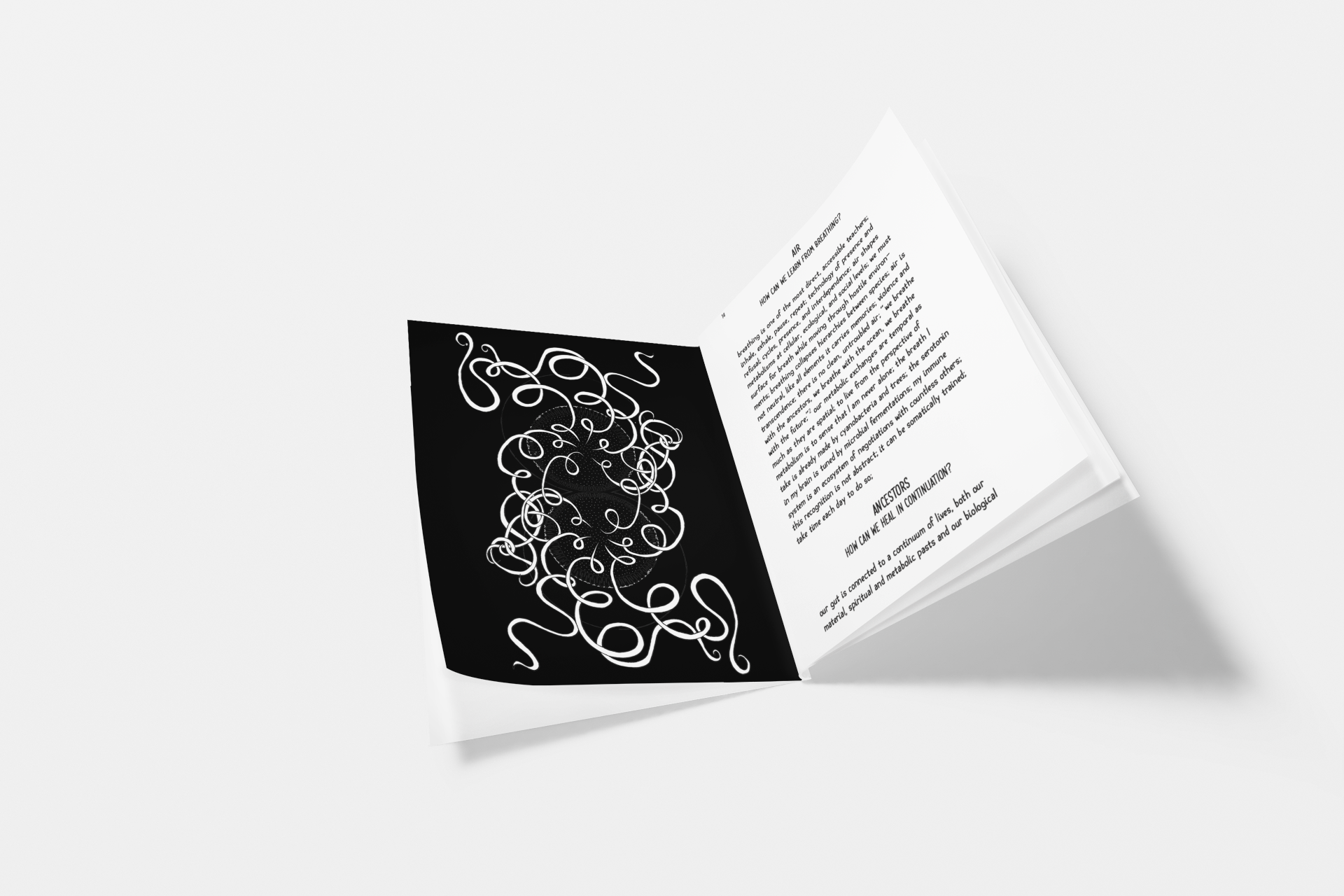 relational-gym-metabolic-edition-oracle-cards-somatic-eco-activism-reading-healing-tarot-booklet.png