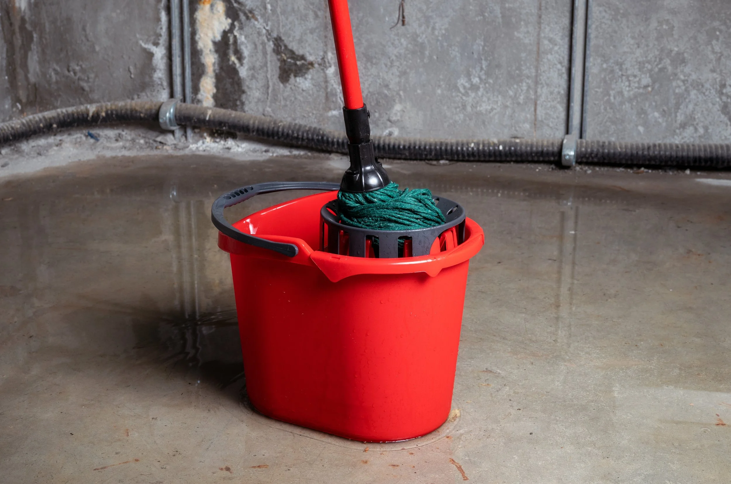 What to Do Immediately After a Basement Flood
