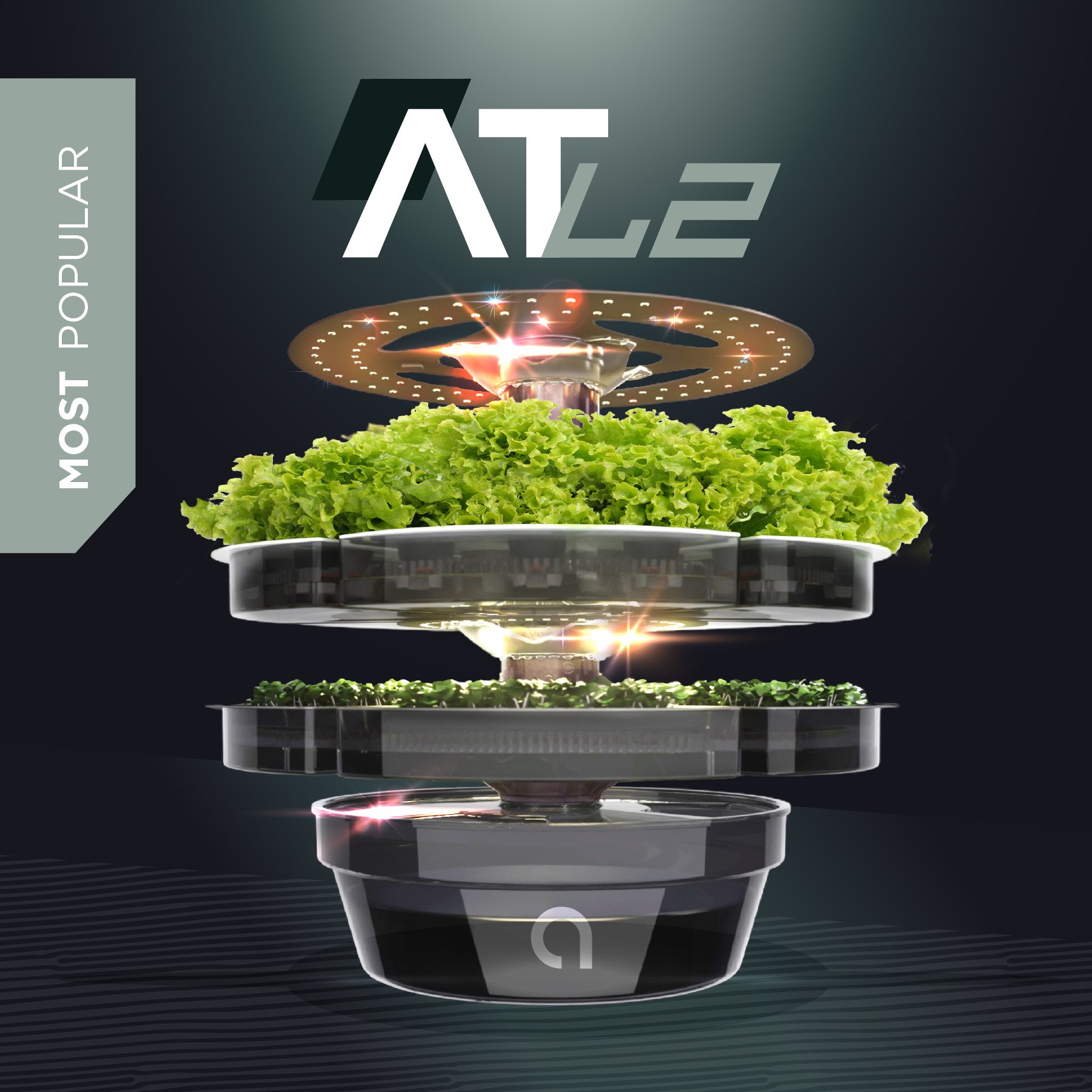 ATL 2 0.jpeg