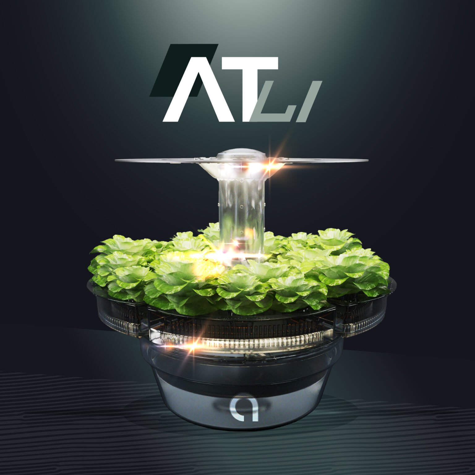 ATL1 0.jpeg