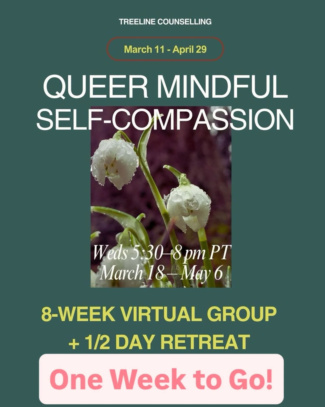 If you&rsquo;ve been thinking of joining Queer MSC - now is your last chance! I likely won&rsquo;t be offering a queer-focussed MSC group again until 2027. Reach out if you are interested in joining - it&rsquo;s not too late! 

What: An 8-week traini